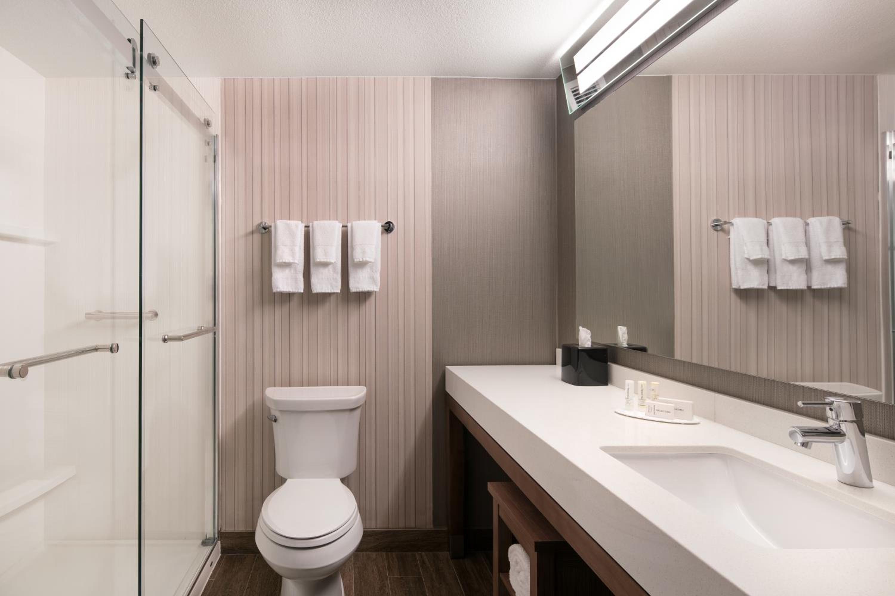 Studio Queen Suite - Hearing Accessible