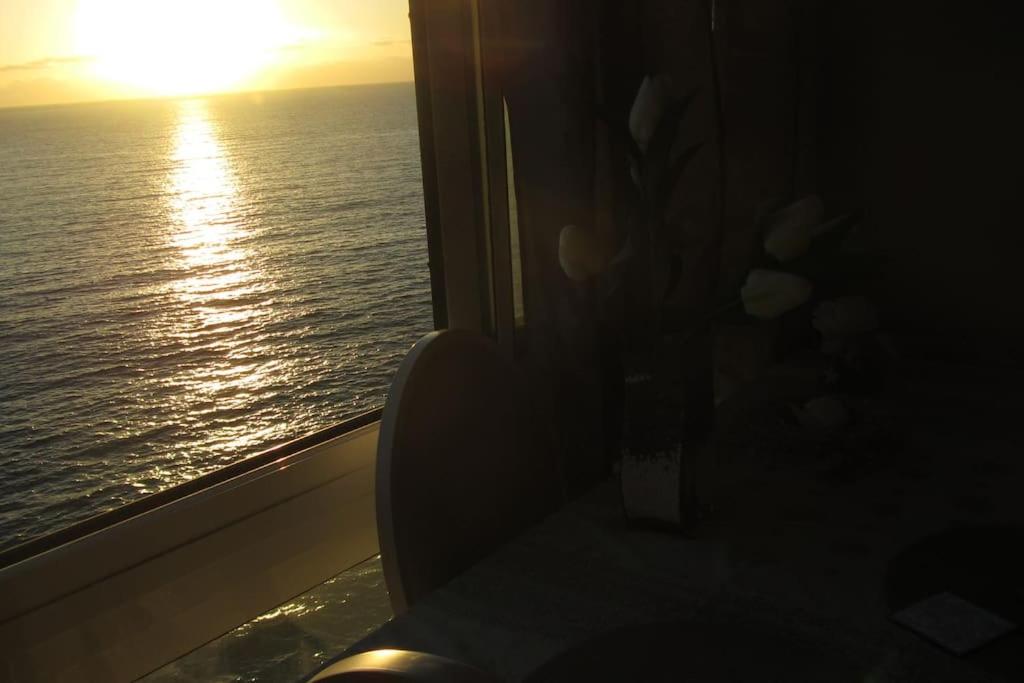 Apartment - Carpe Diem - Photo 19