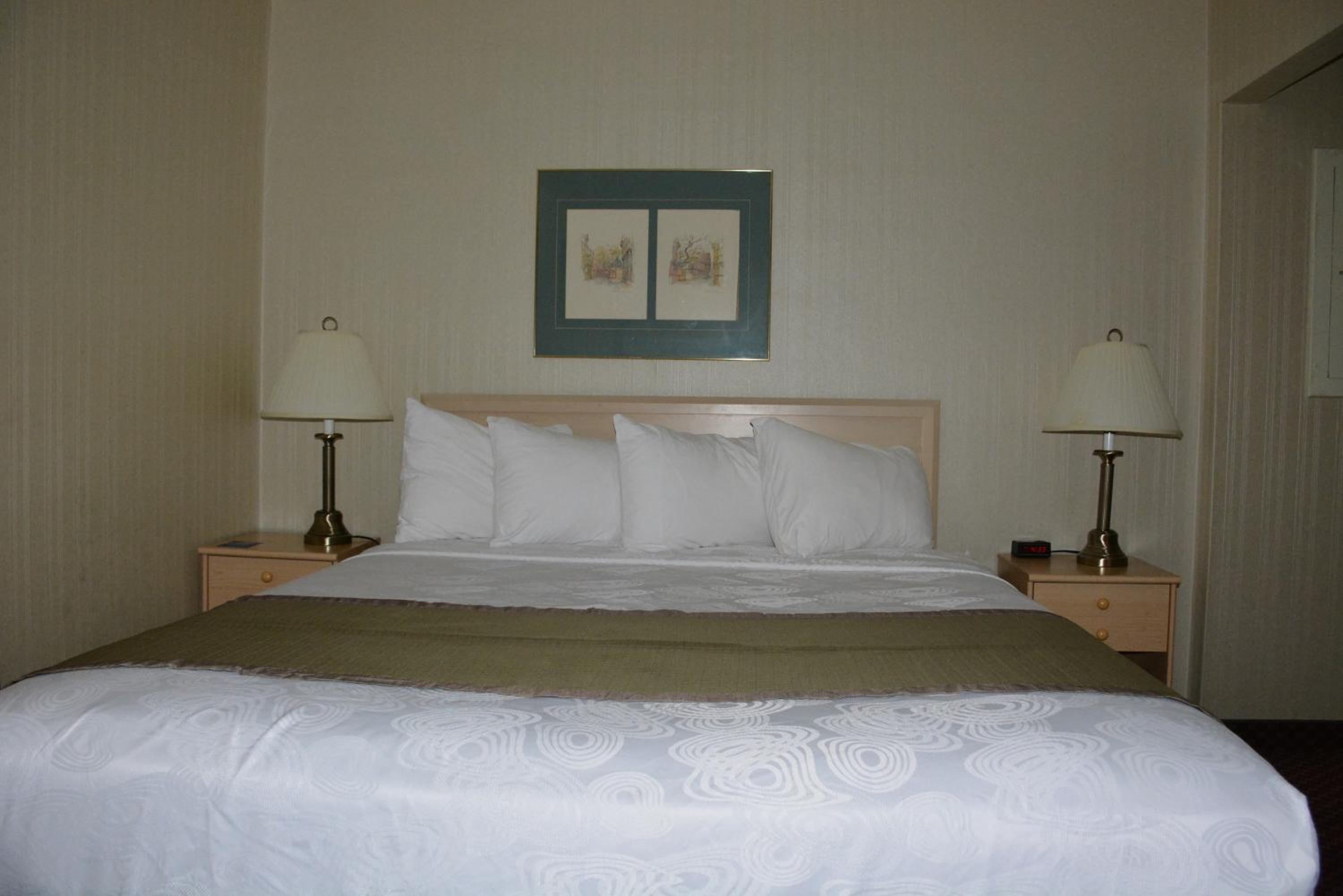 Business King Room - Photo 9
