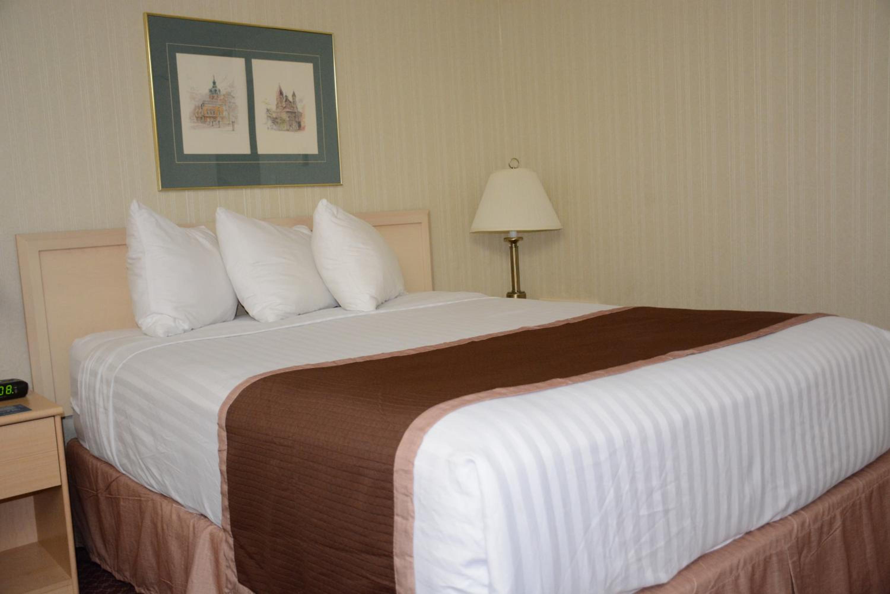 Queen Room - Non-Smoking - Photo 6