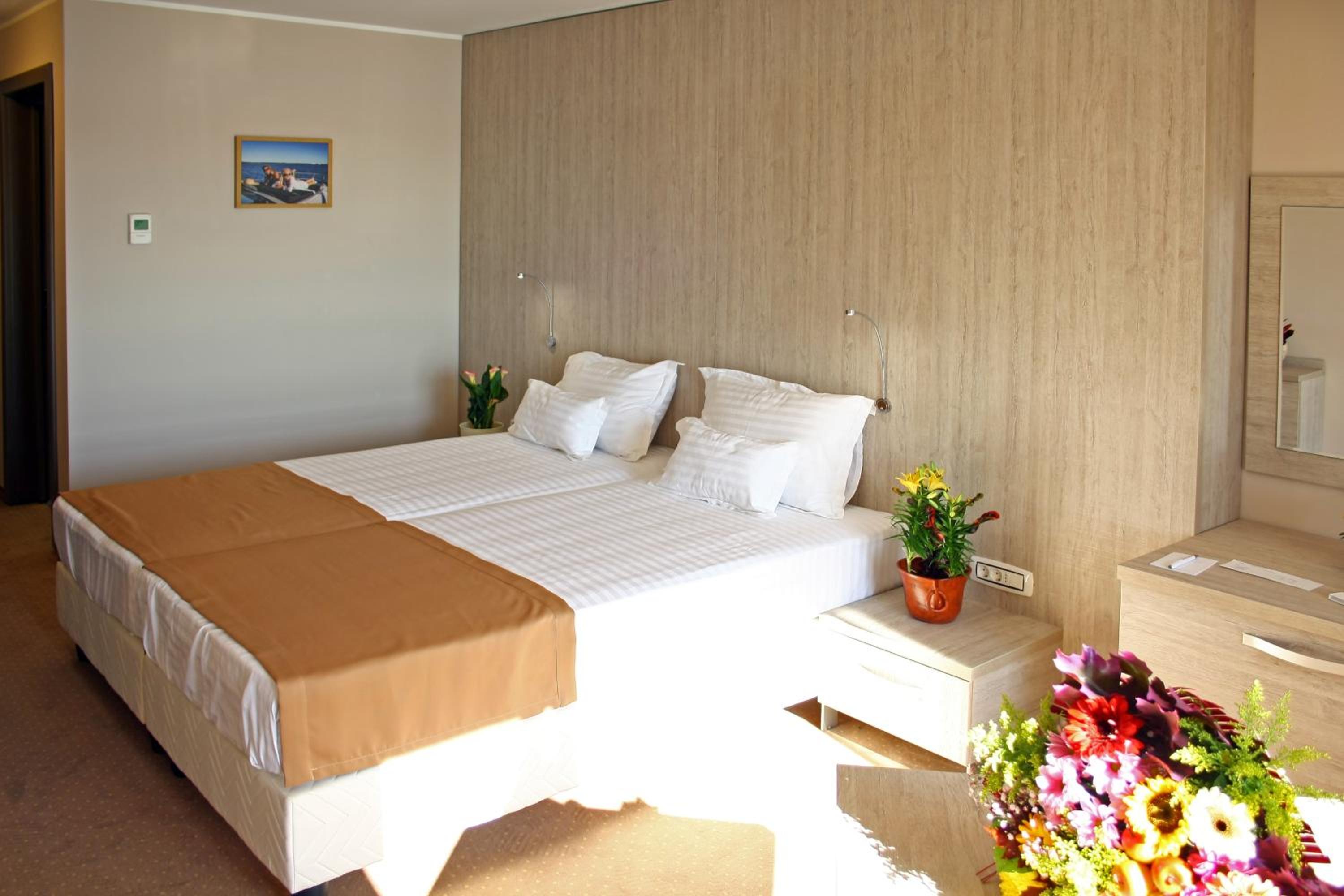 Deluxe Double or Twin Room with River View