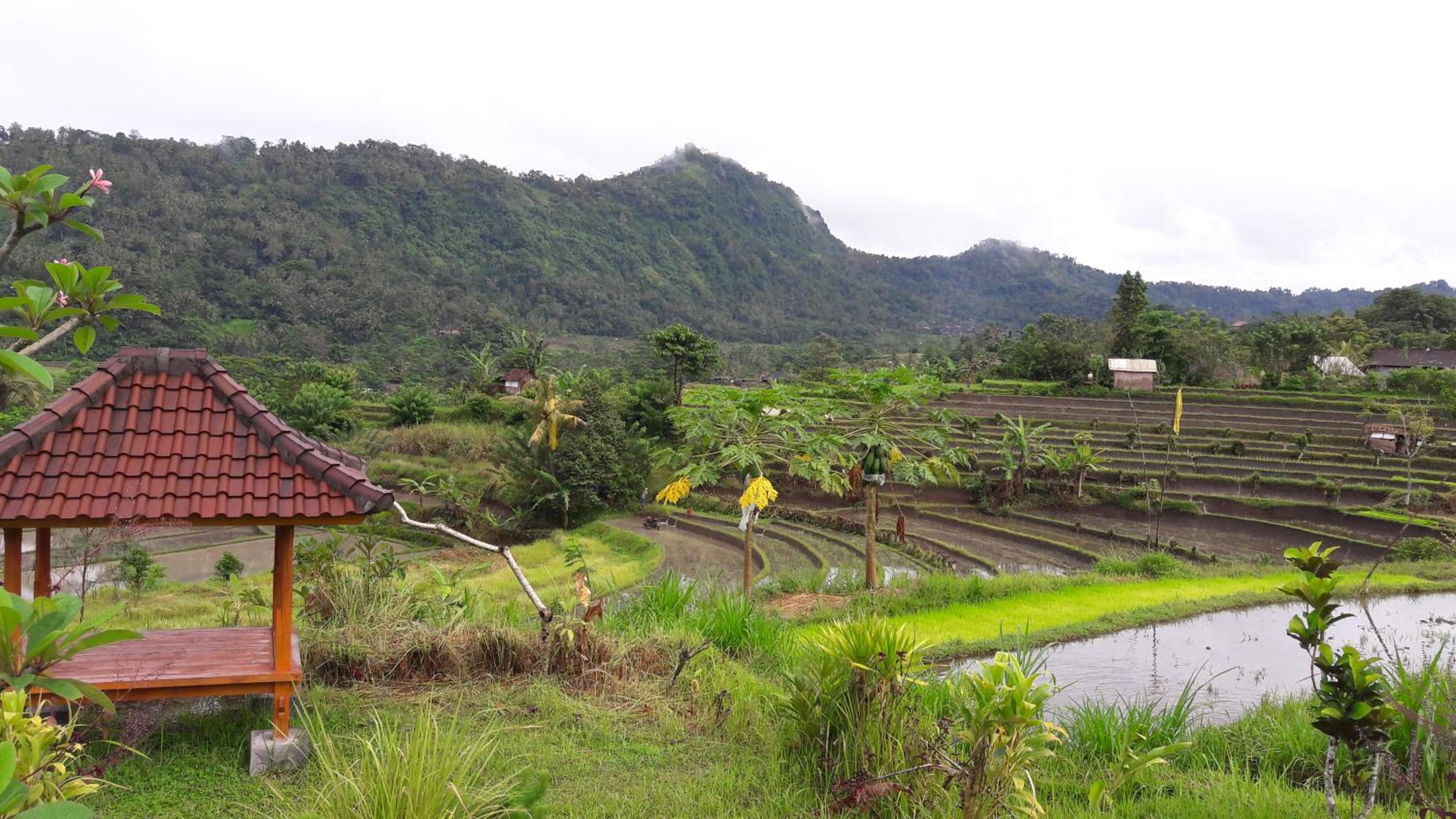 Bungalow with Garden View - Photo 22