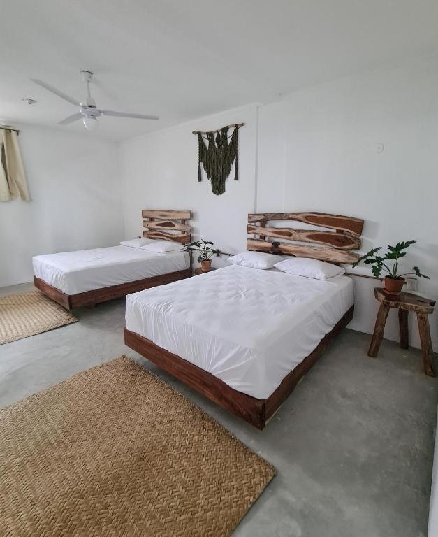 Twin Room photo 2