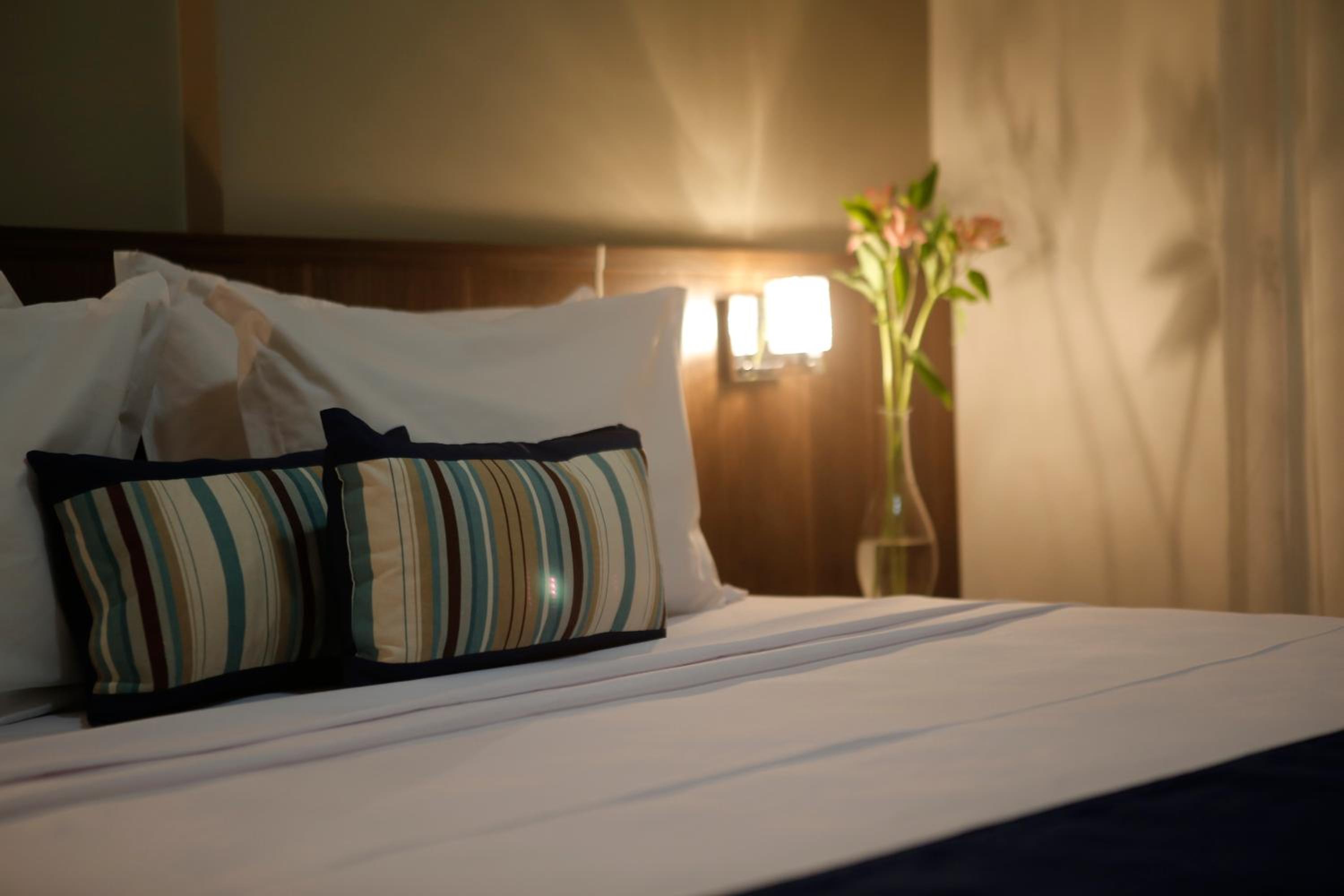Superior Suite - Photo 9
