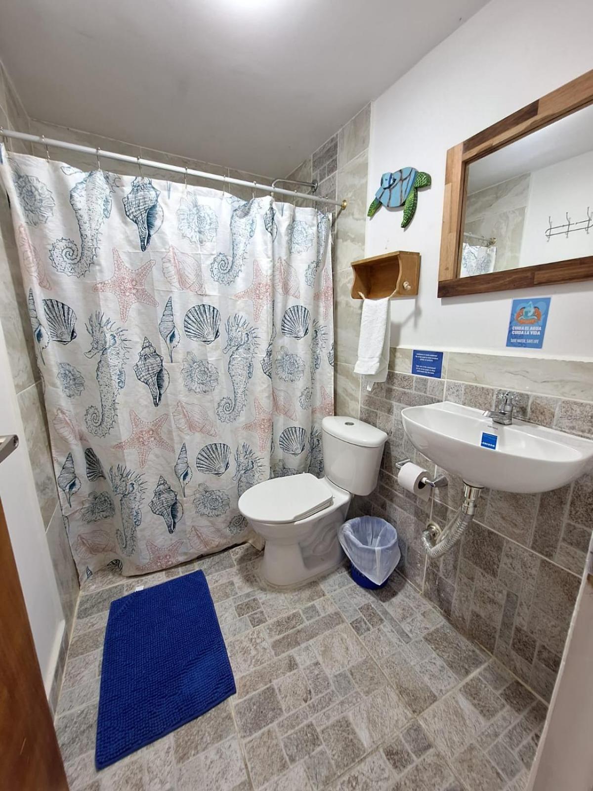 Deluxe Double or Twin Room photo 1