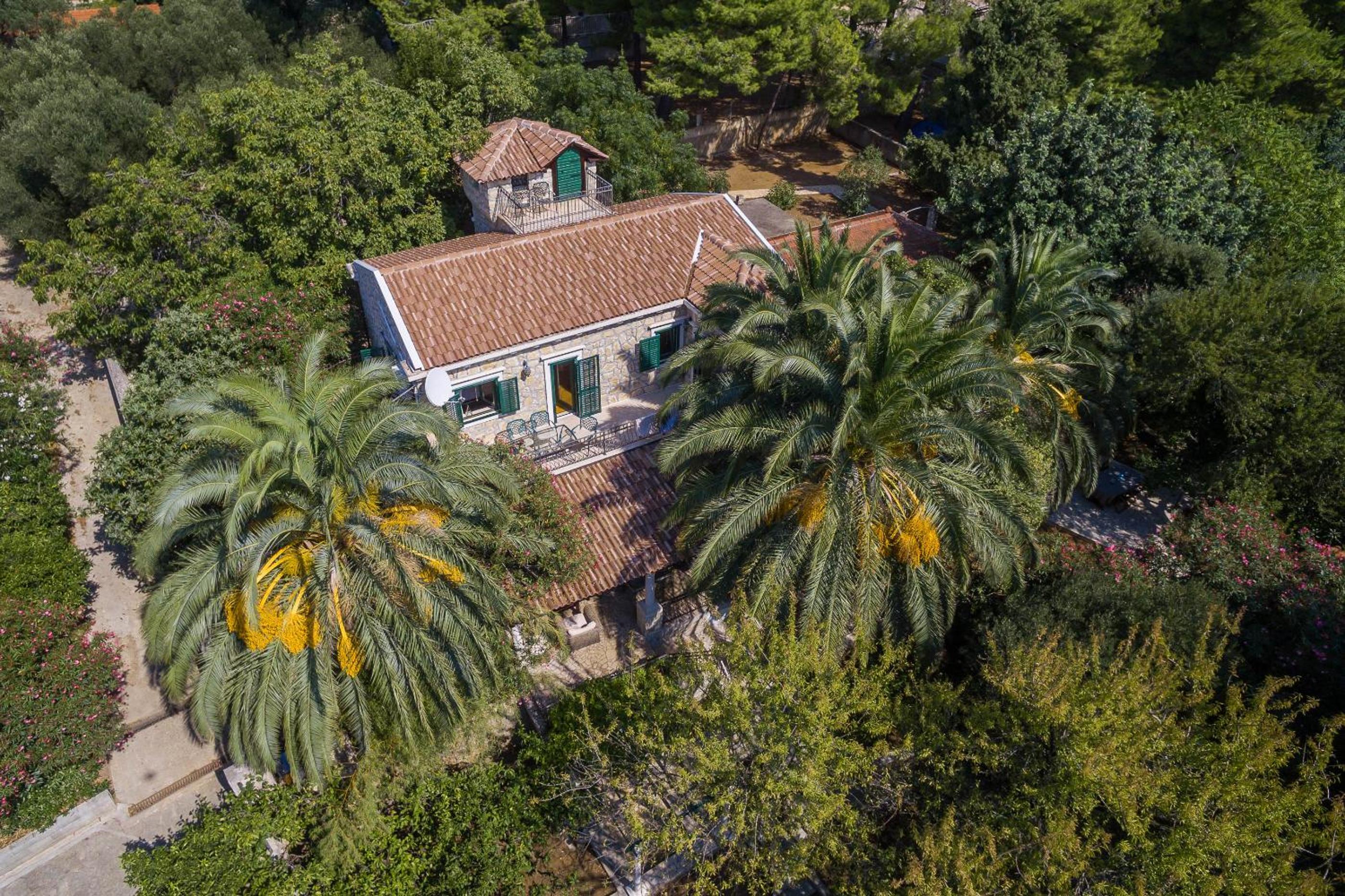 Villa - Beach Front photo 2