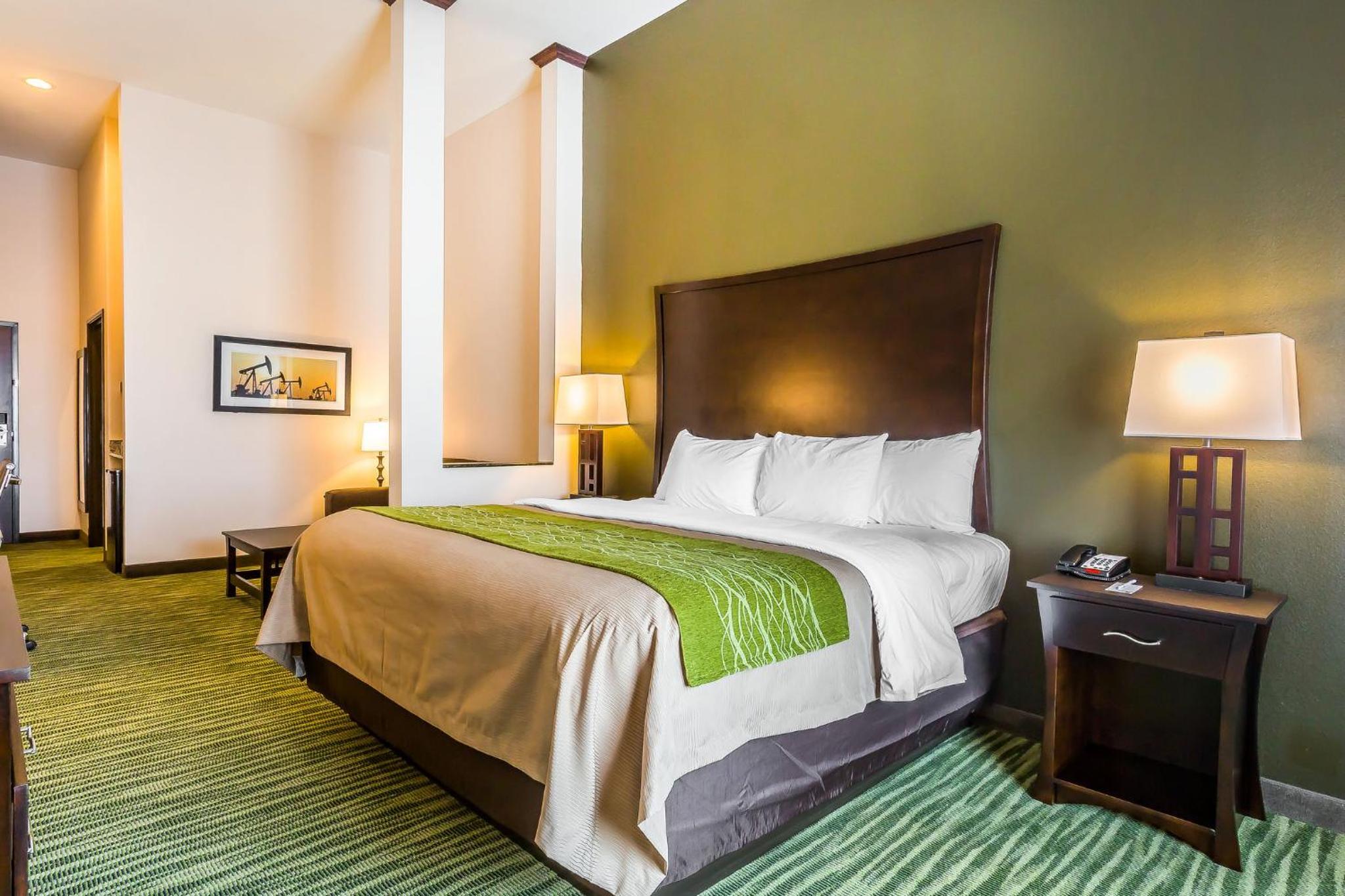 King Suite with Sofa Bed photo 2