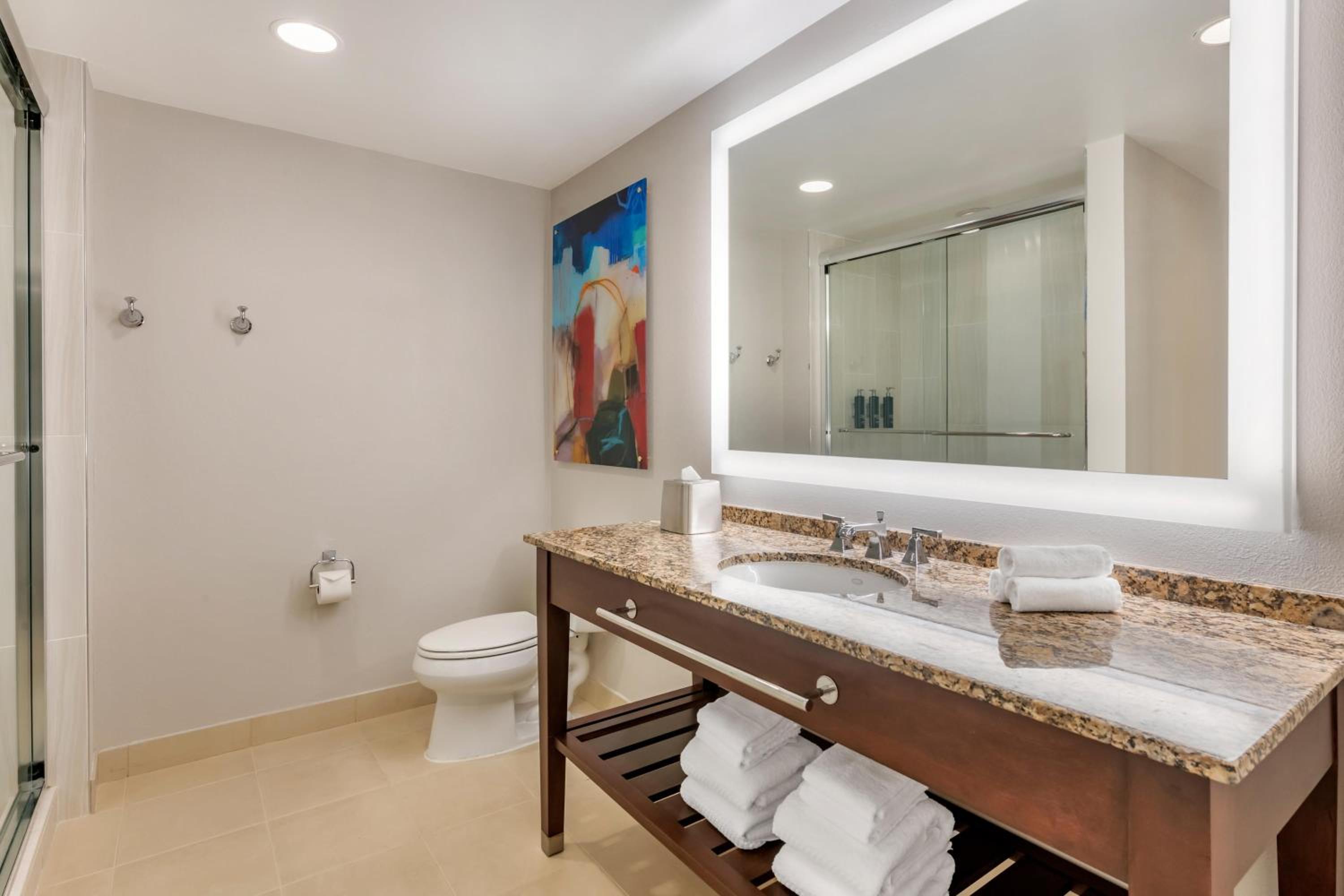One-Bedroom King Suite with Kitchen
