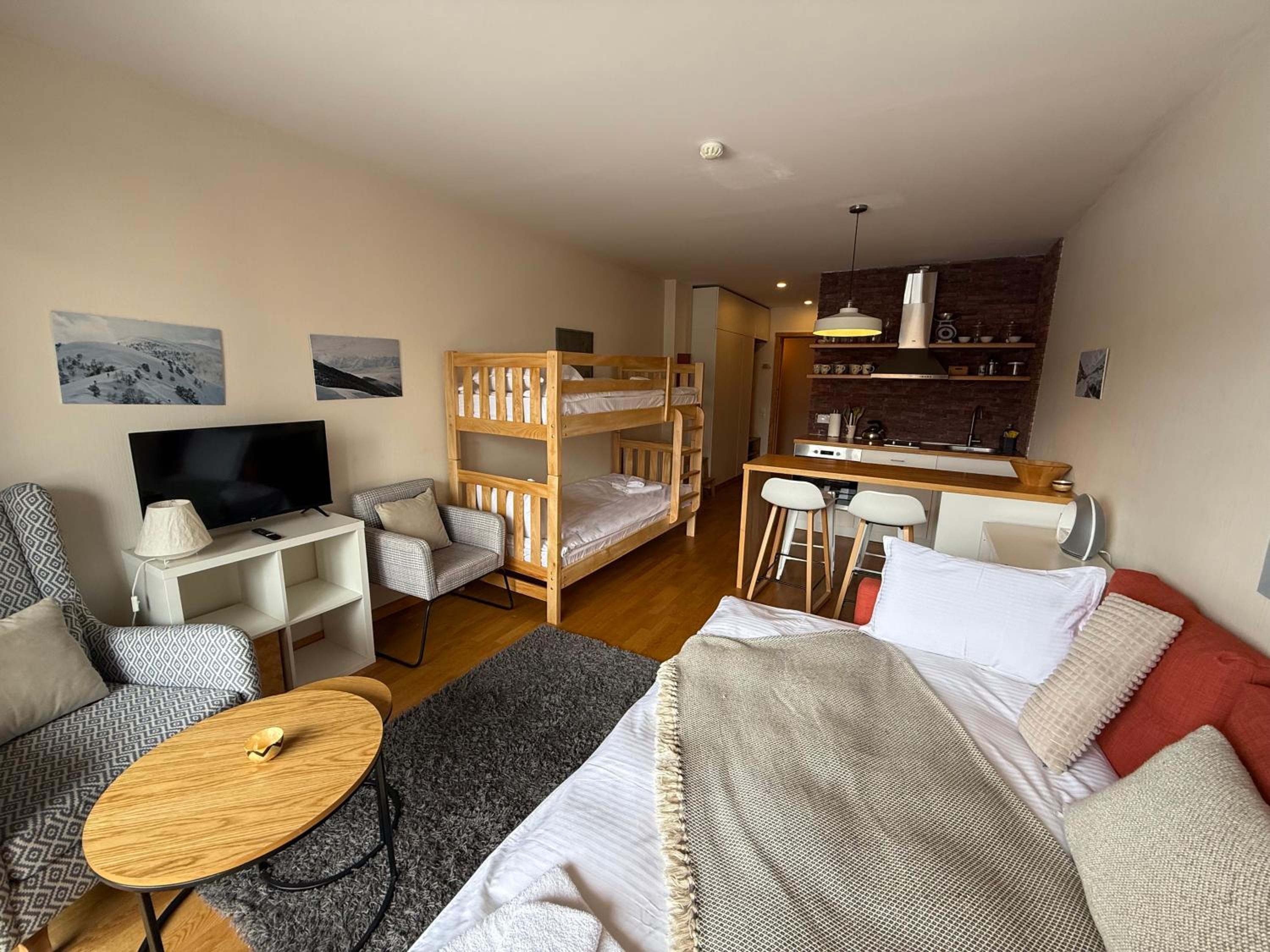 Studio Apartment photo 3