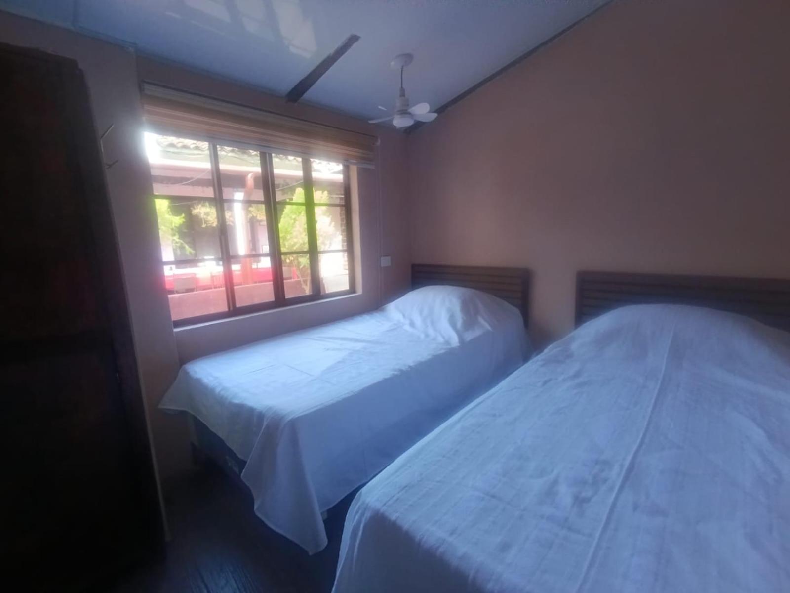 Single Bed in Mixed Dormitory Room