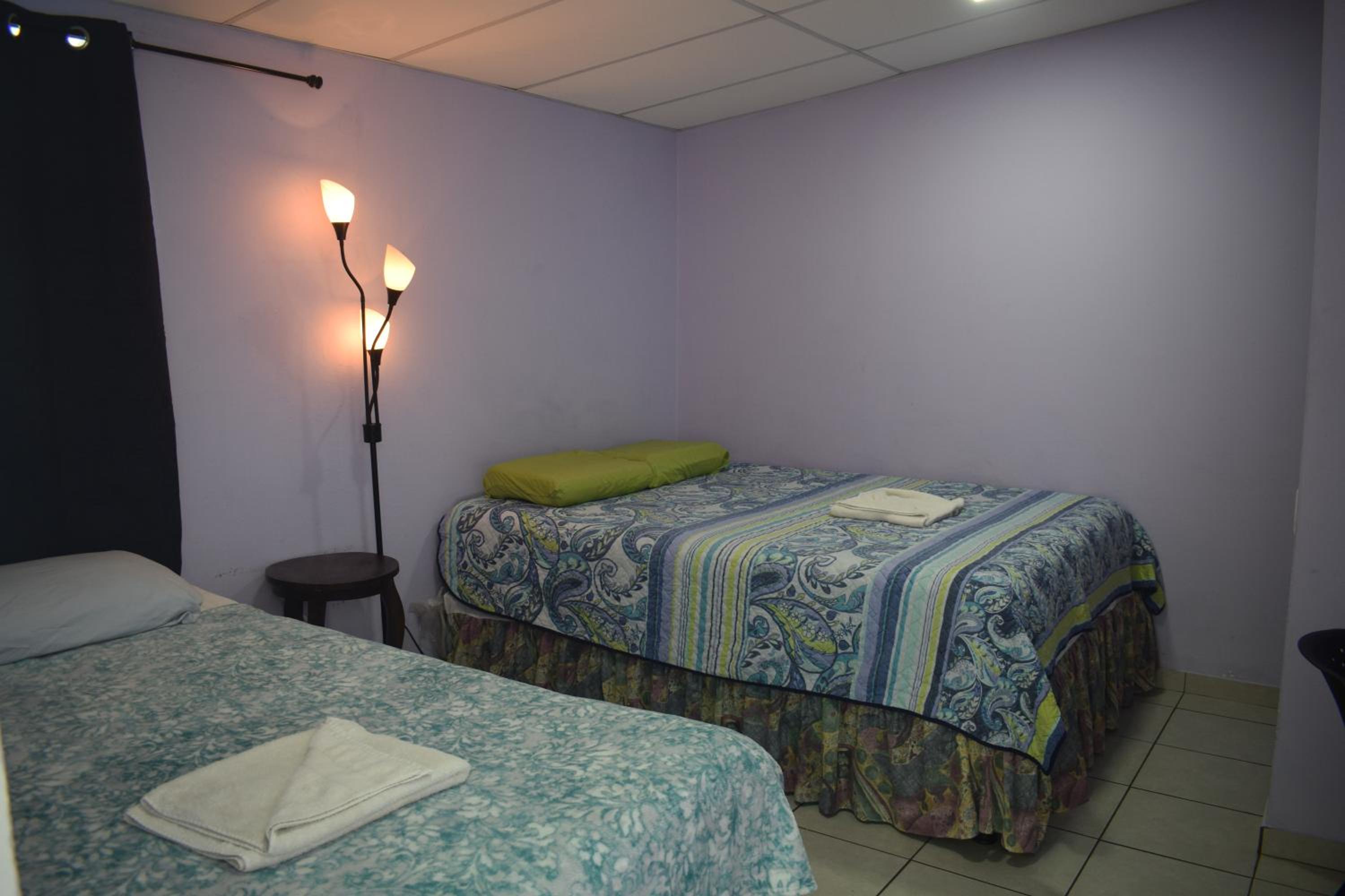 Twin Room photo 1