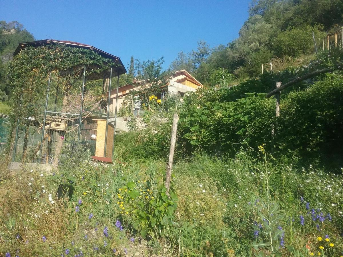 Apartment with Garden View