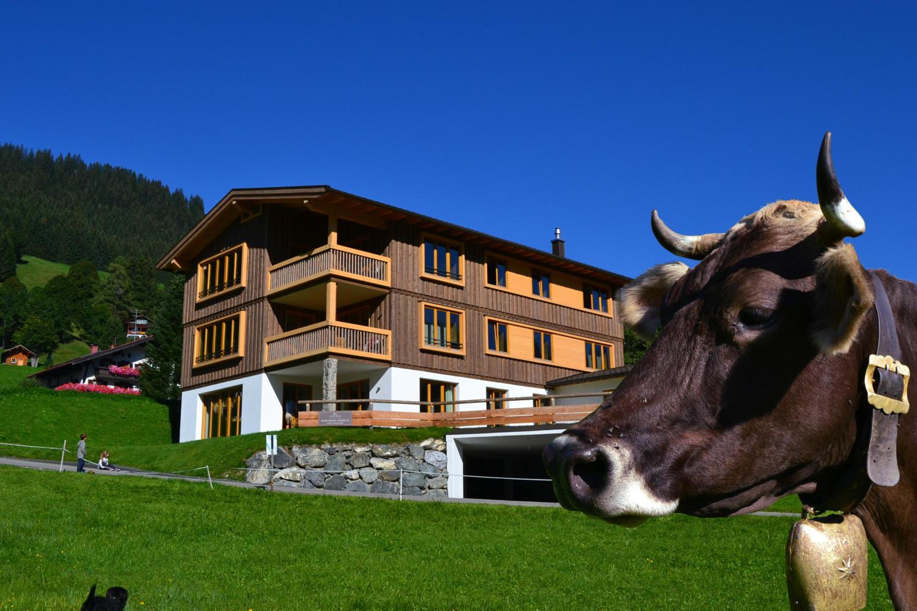 Two-Bedroom Apartment with Mountain View photo 2