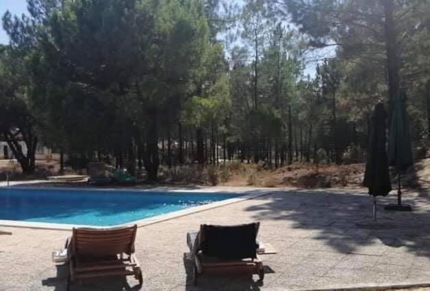Three-Bedroom Apartment with Private Pool photo 1