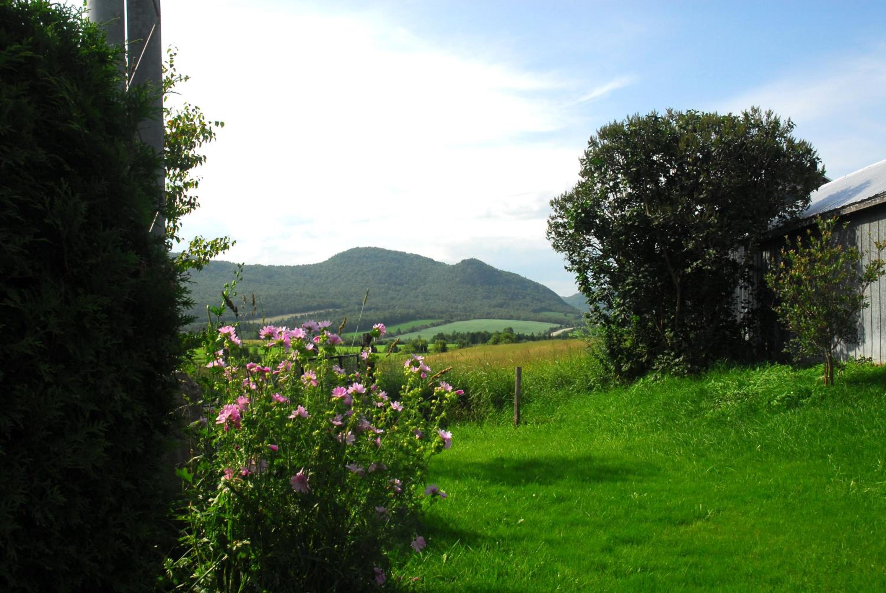 Chalet photo 3
