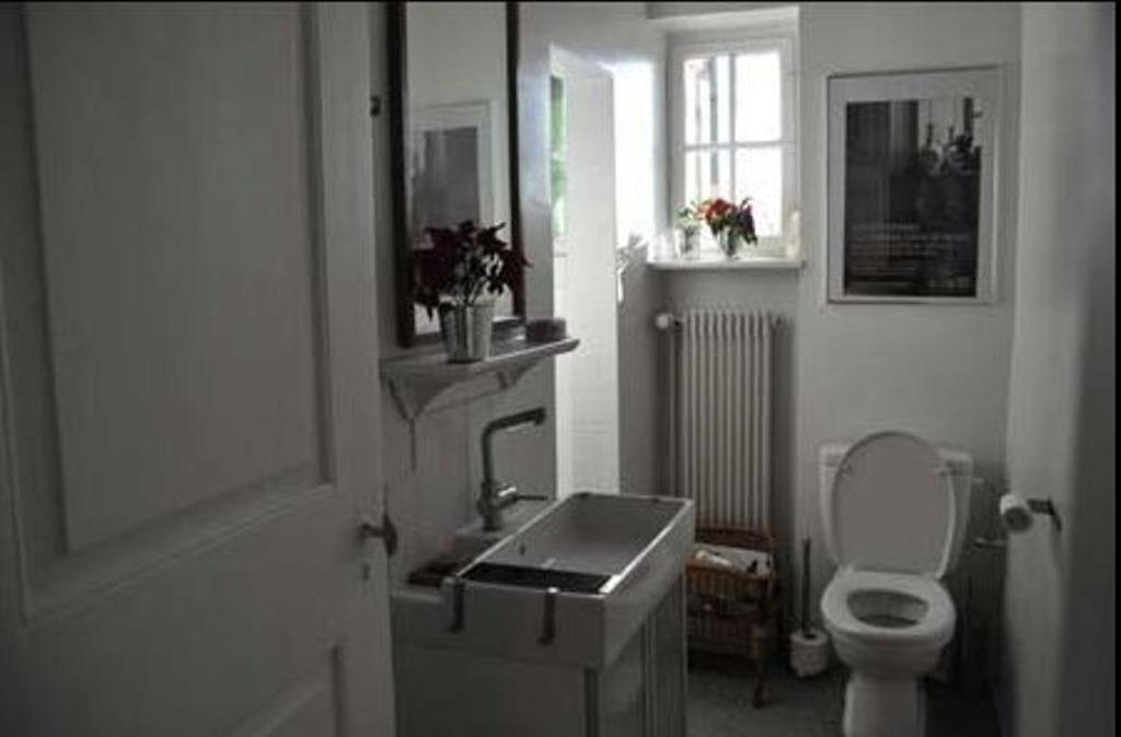 One-Bedroom Apartment photo 3