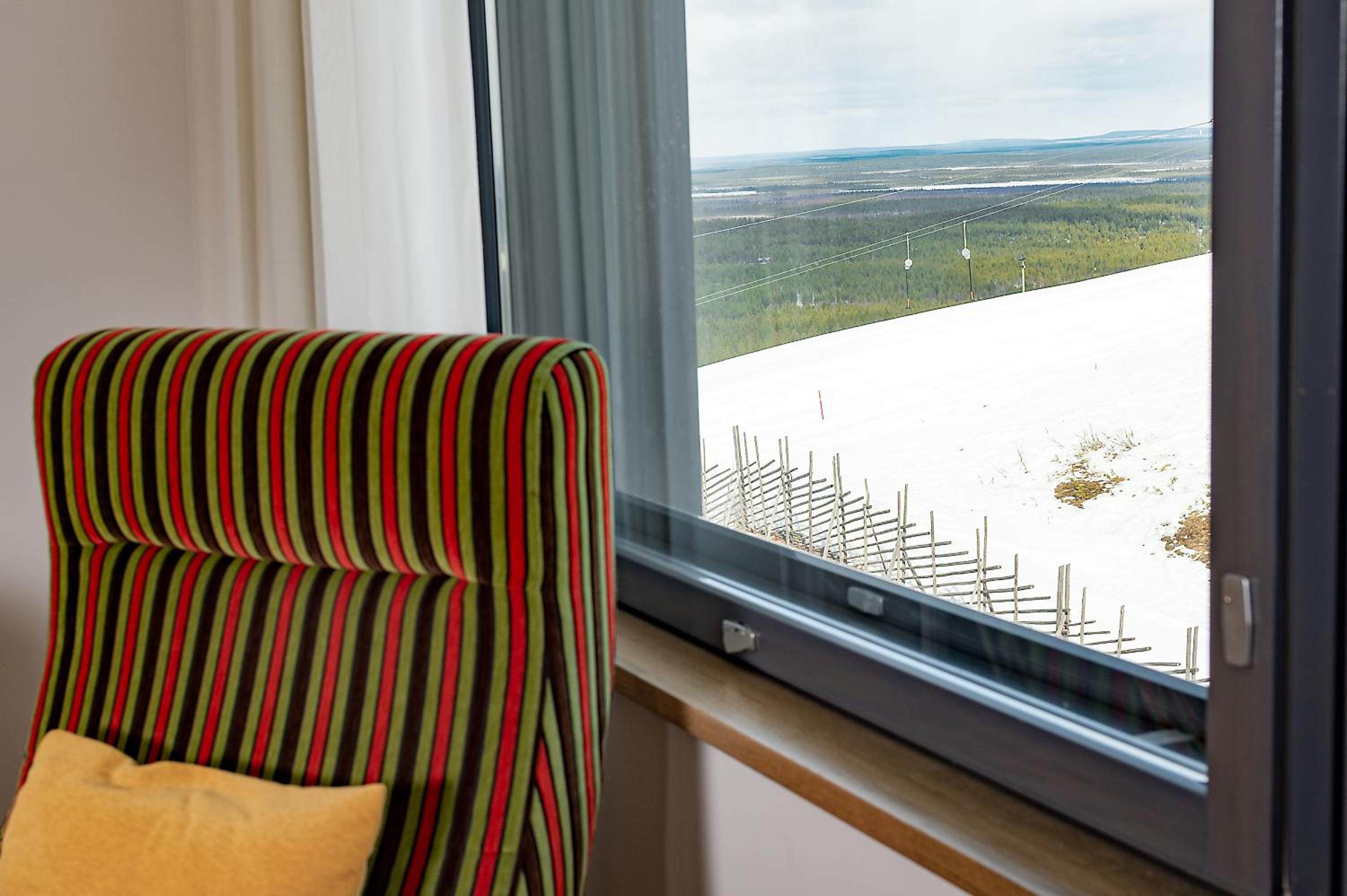 Standard View - Photo 1