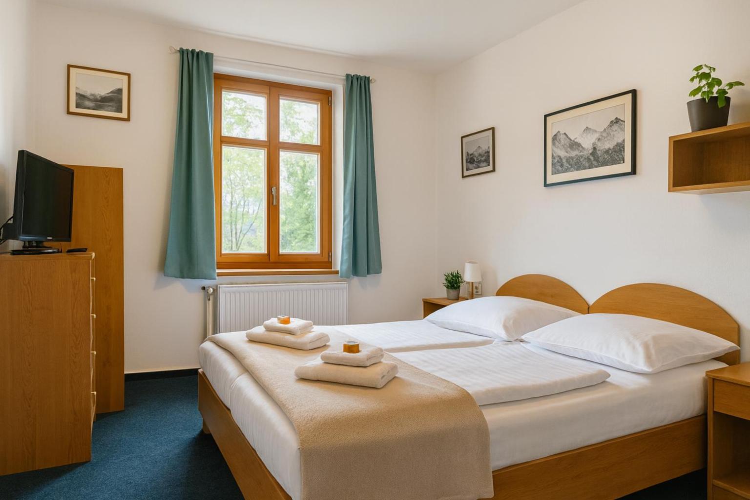 Double Room with Mountain View