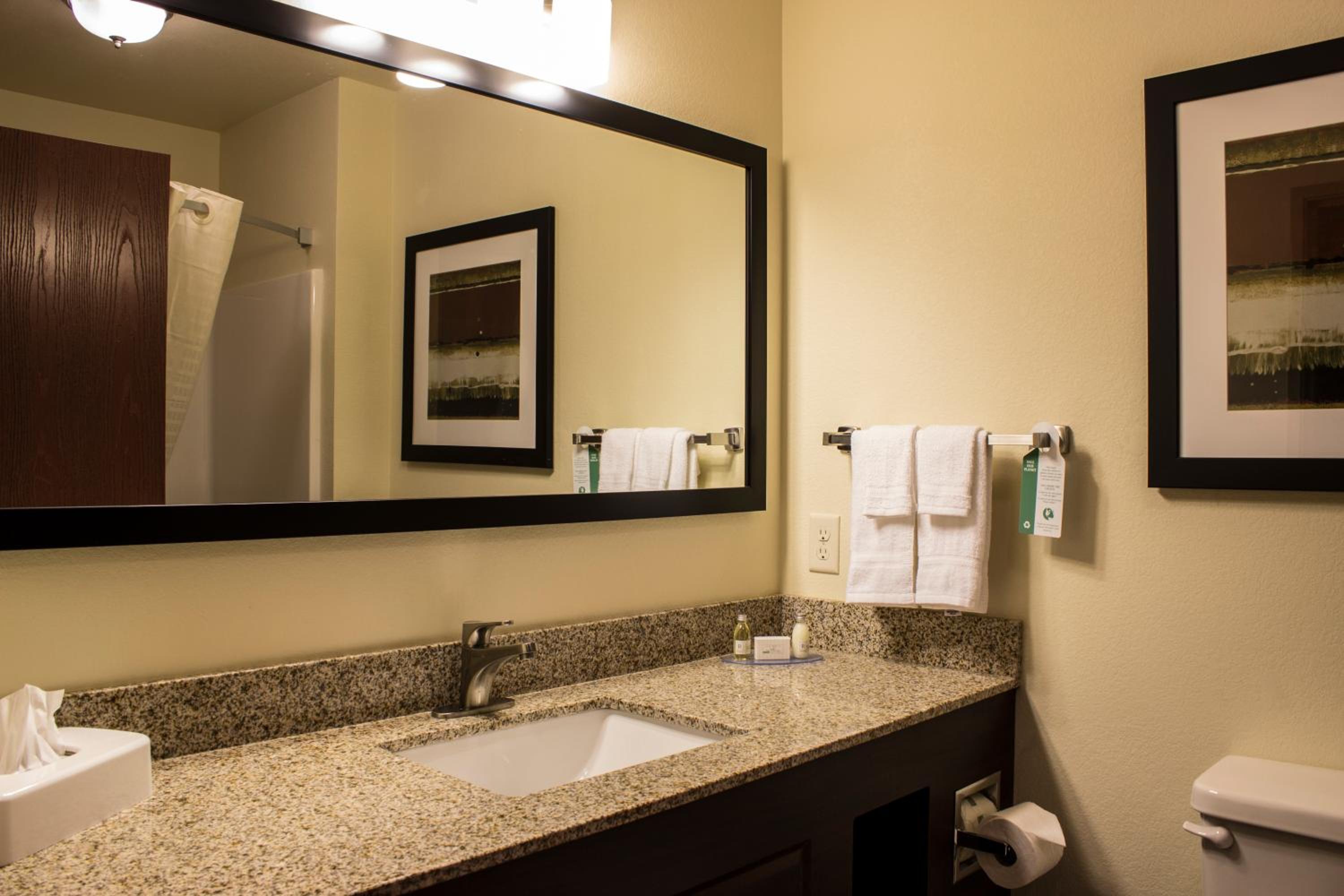 One-Bedroom Suite photo 2