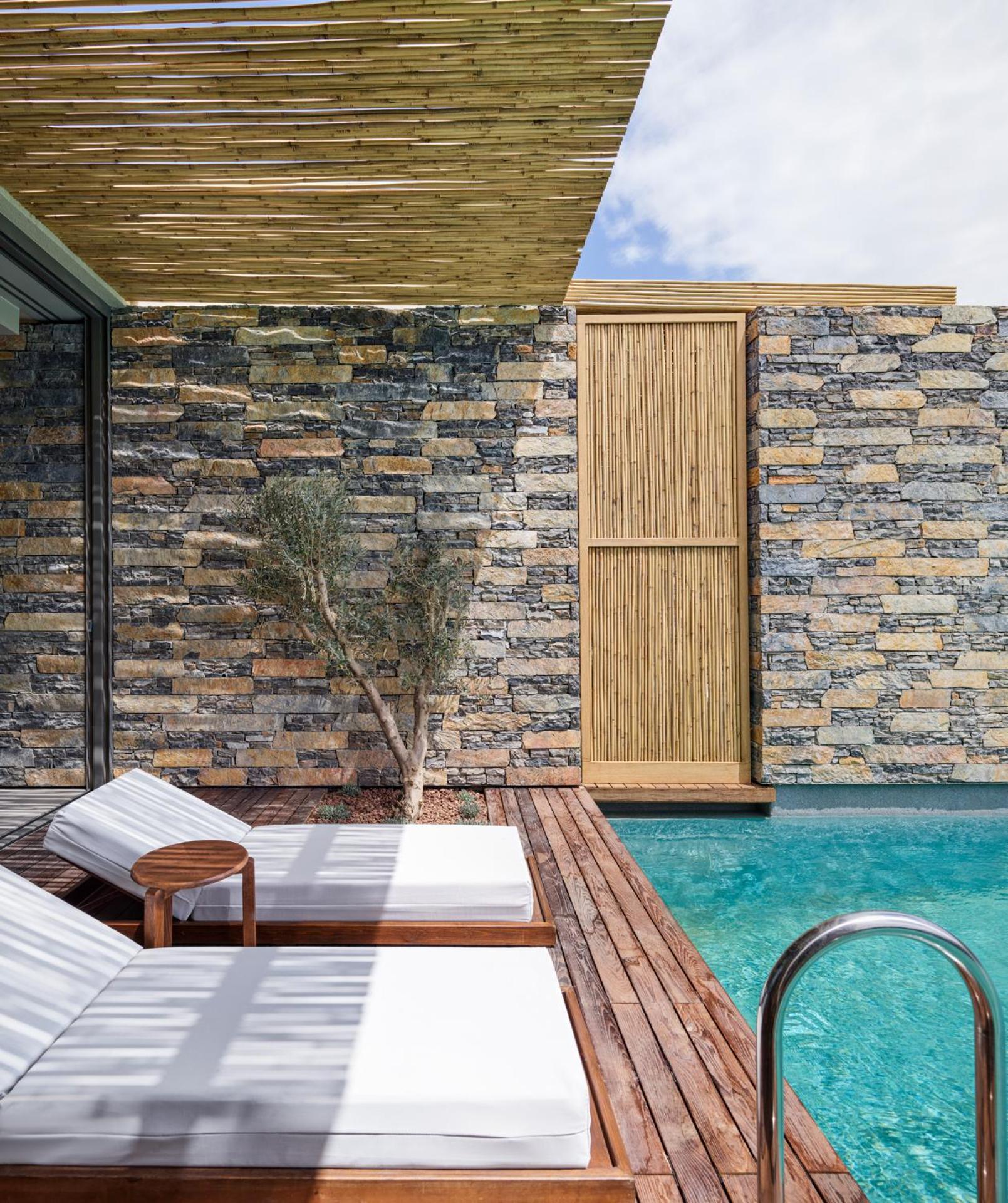 Private Swim-up