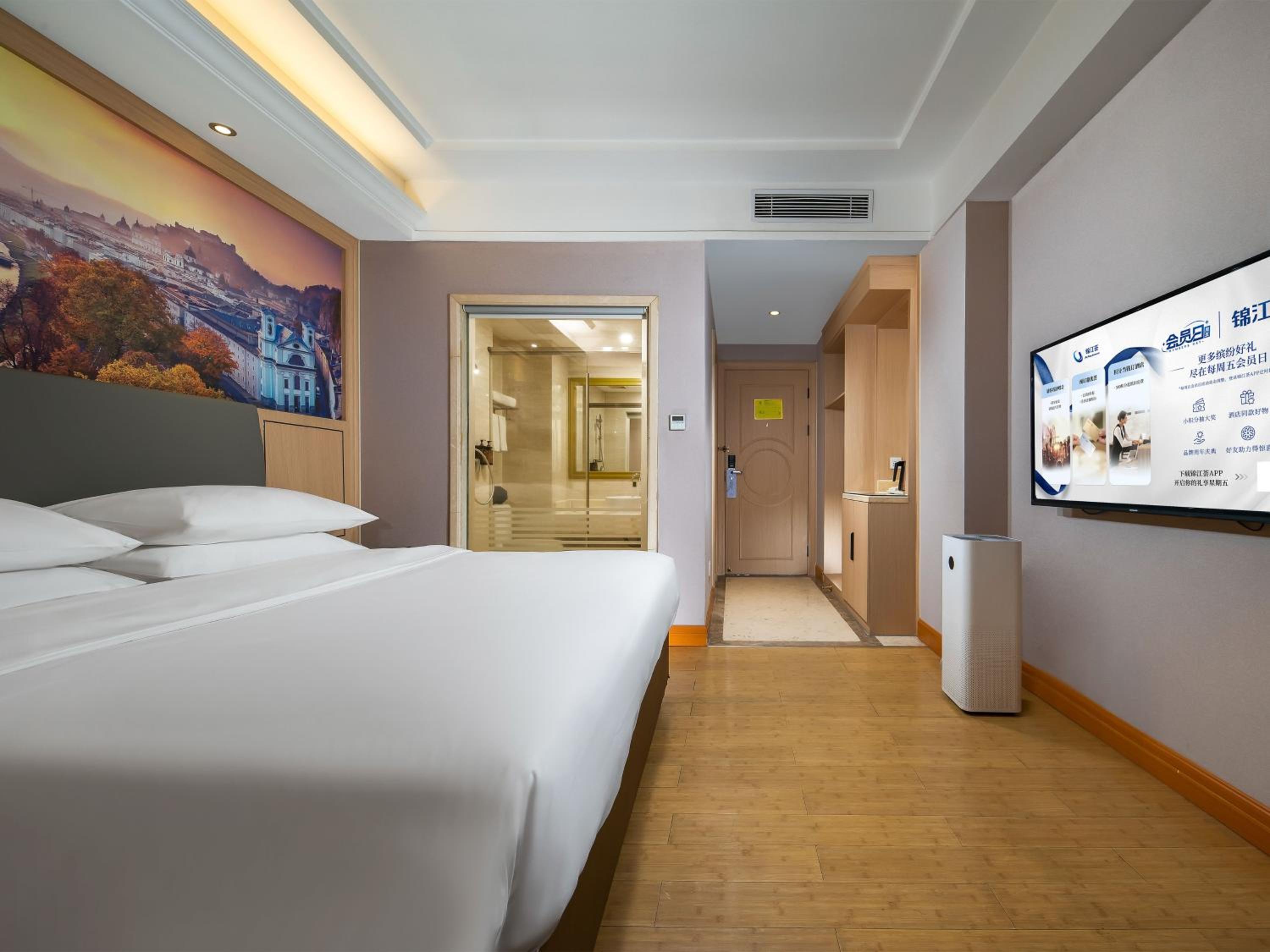 Superior Single Room