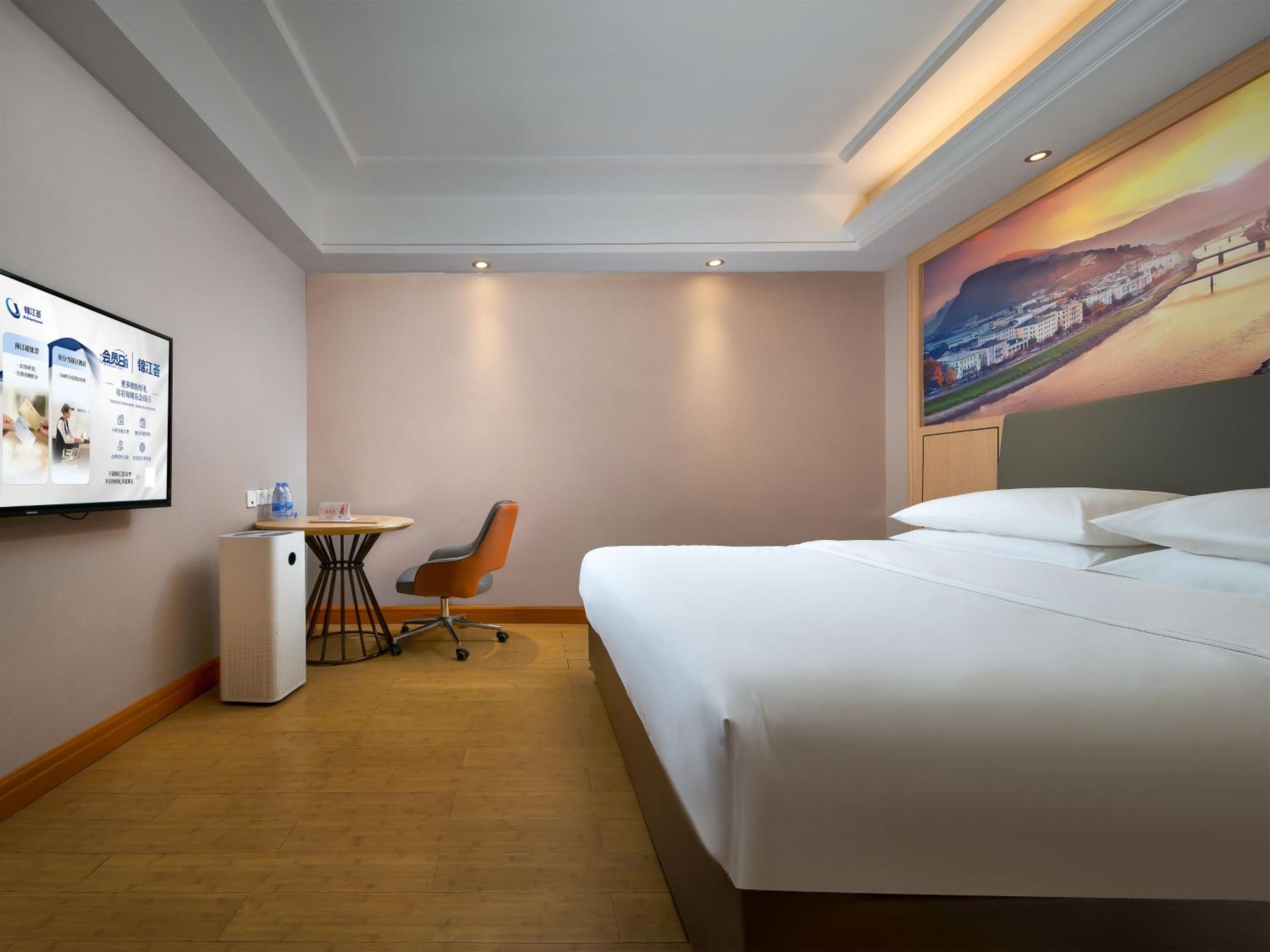 Superior Single Room photo 3