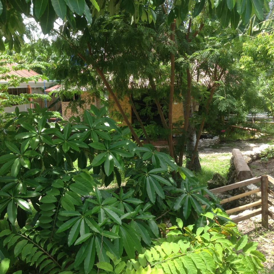 Chalet - Photo 2