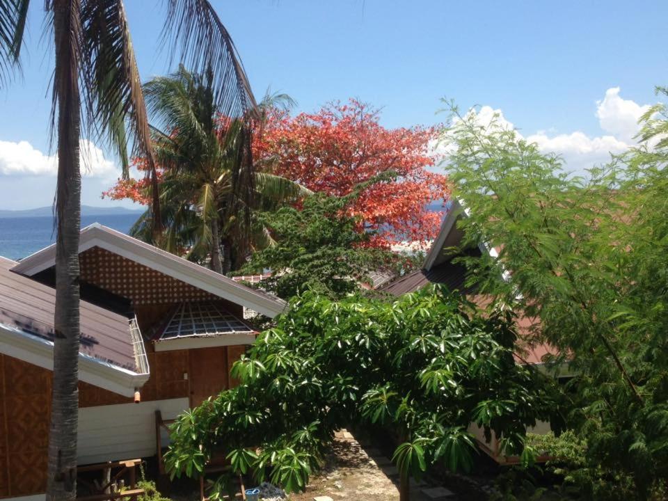 Deluxe Double or Twin Room with Ocean View - Photo 4