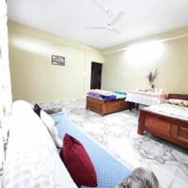 Deluxe Double or Twin Room with Mountain View photo 1