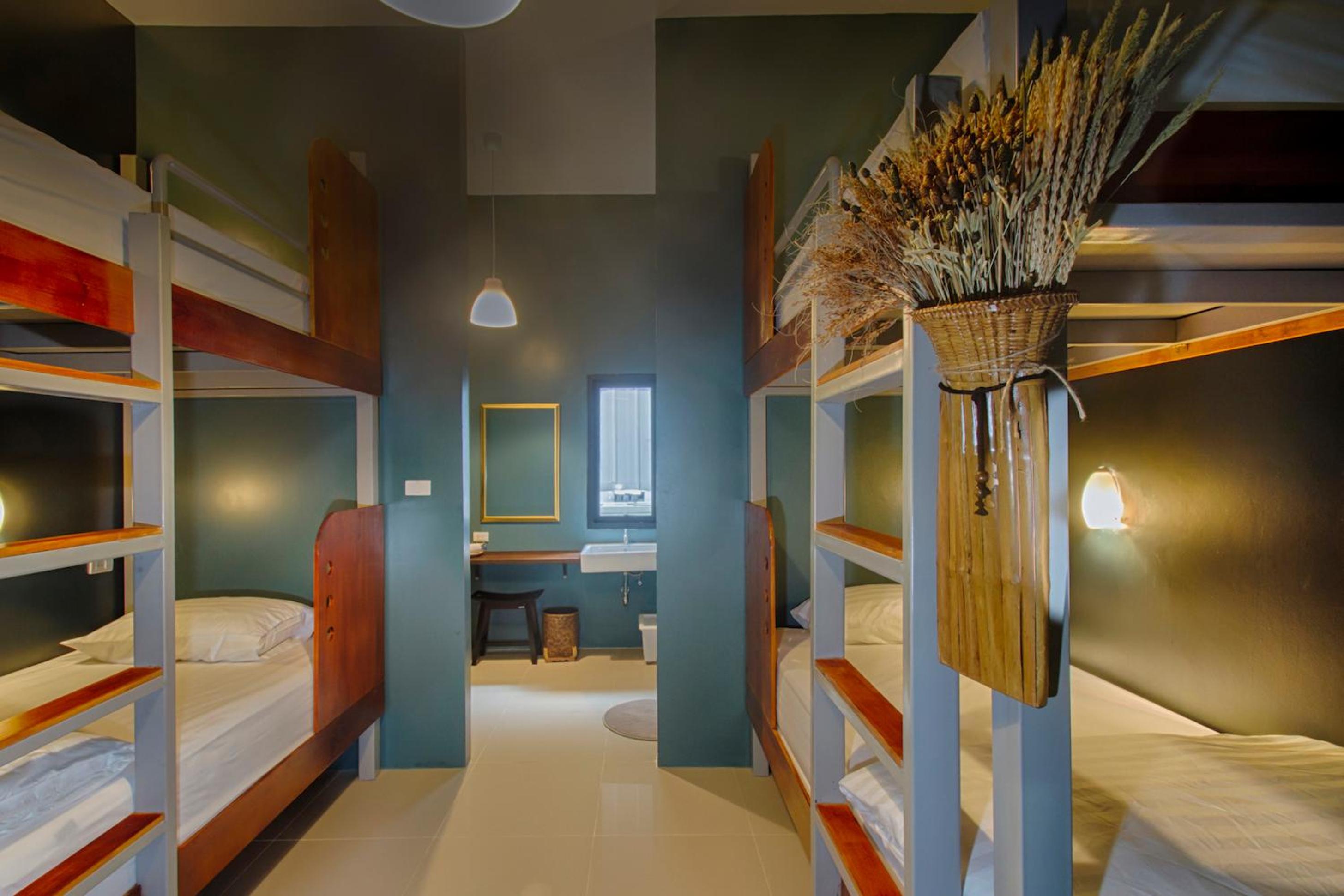 Bunk Bed in Mixed Dormitory Room photo 1