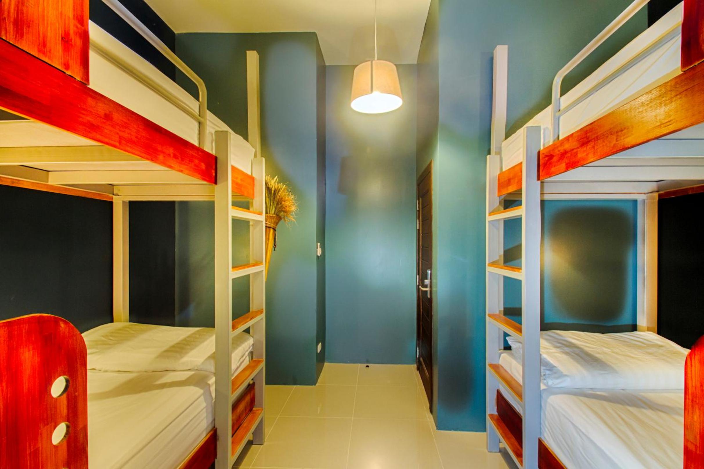 Bunk Bed in Mixed Dormitory Room photo 2