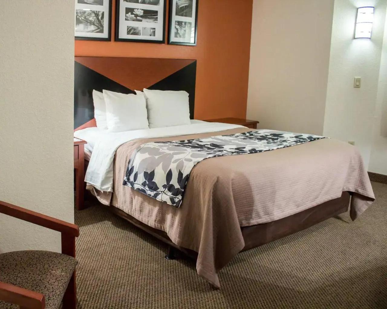 Queen Room - Accessible/Non-Smoking photo 1