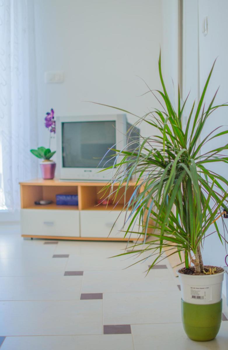 Studio Apartment with Sea View photo 3