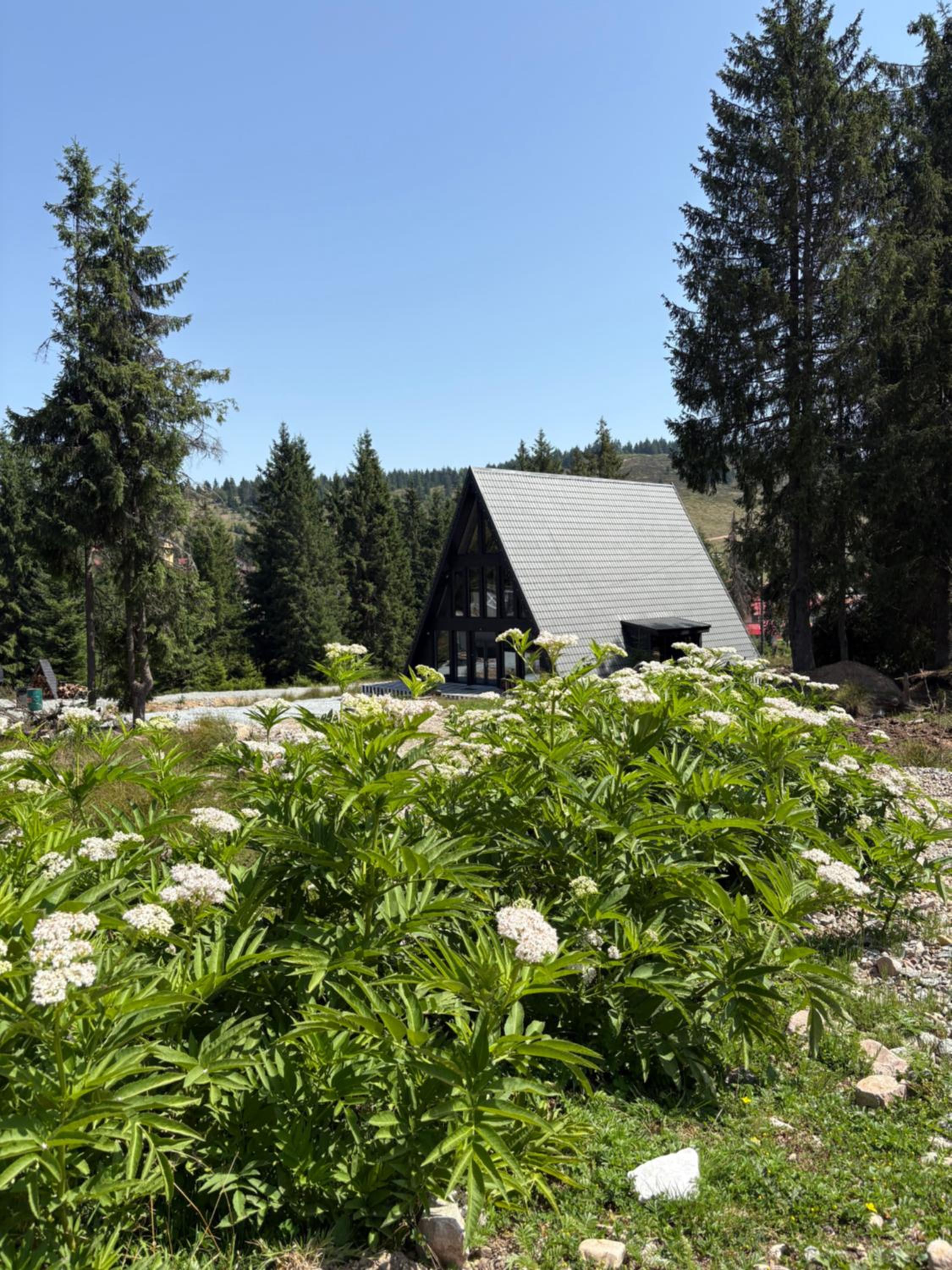 Chalet photo 3