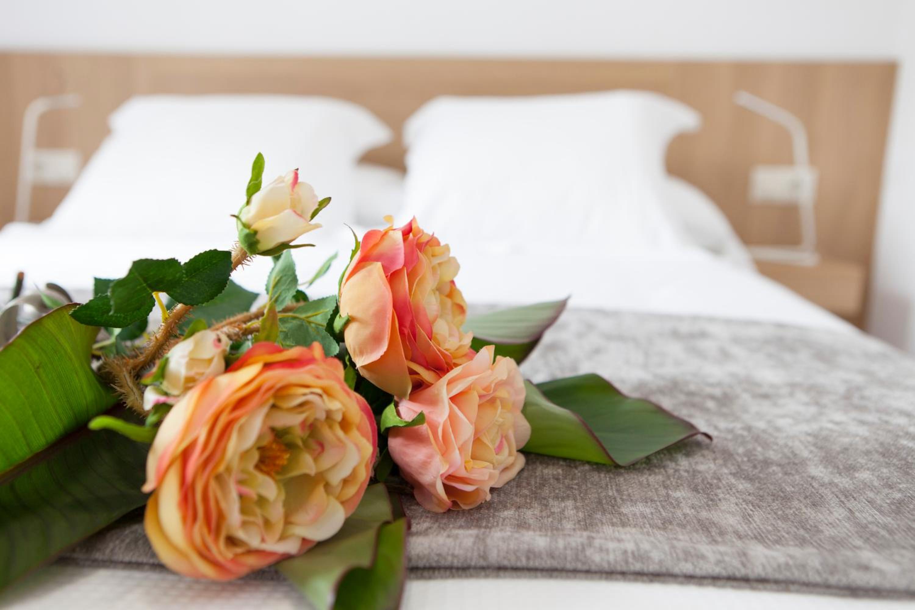Apartamento con vista al jardín