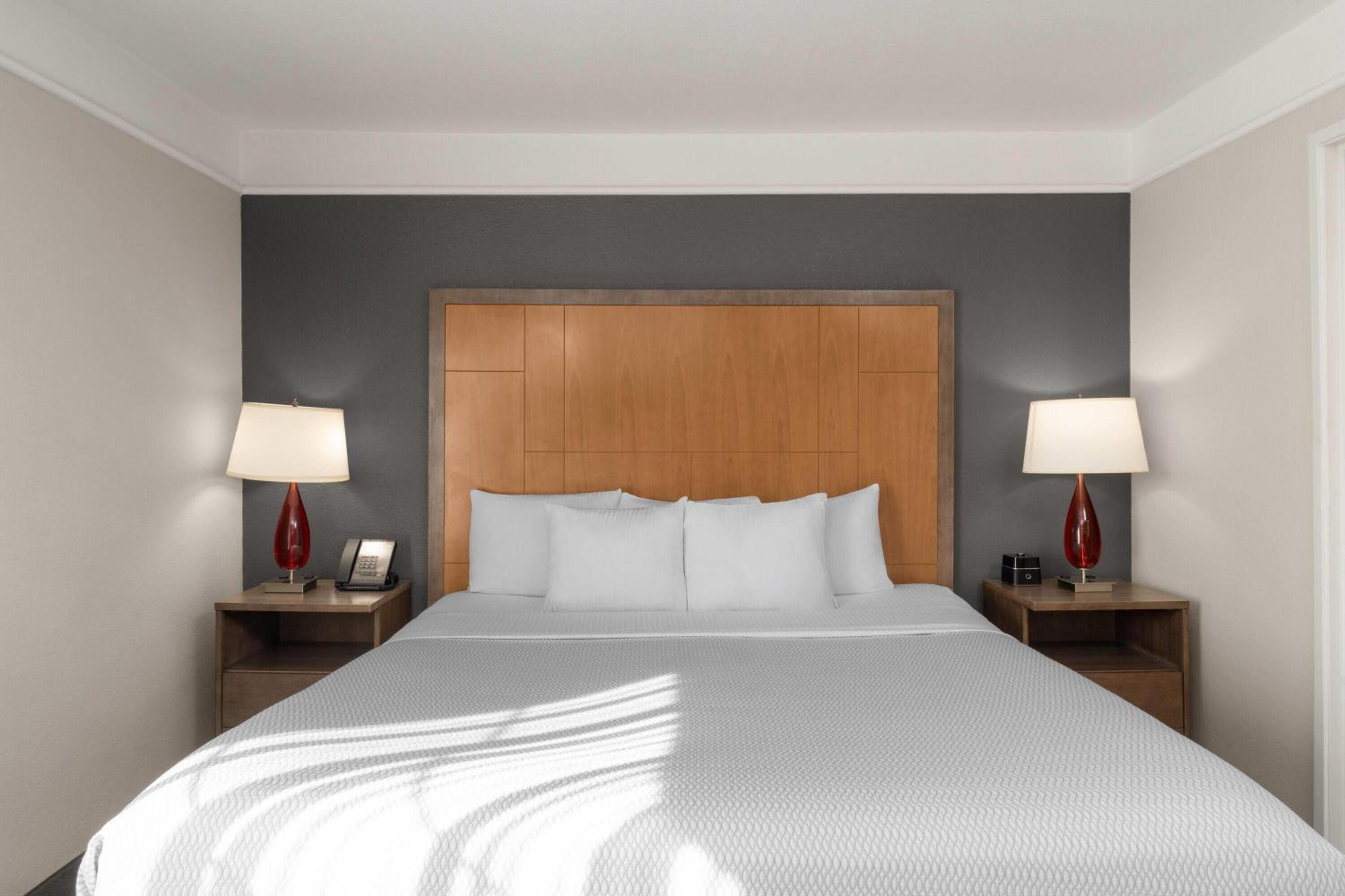 One-Bedroom King Suite - Non-Smoking - Photo 4