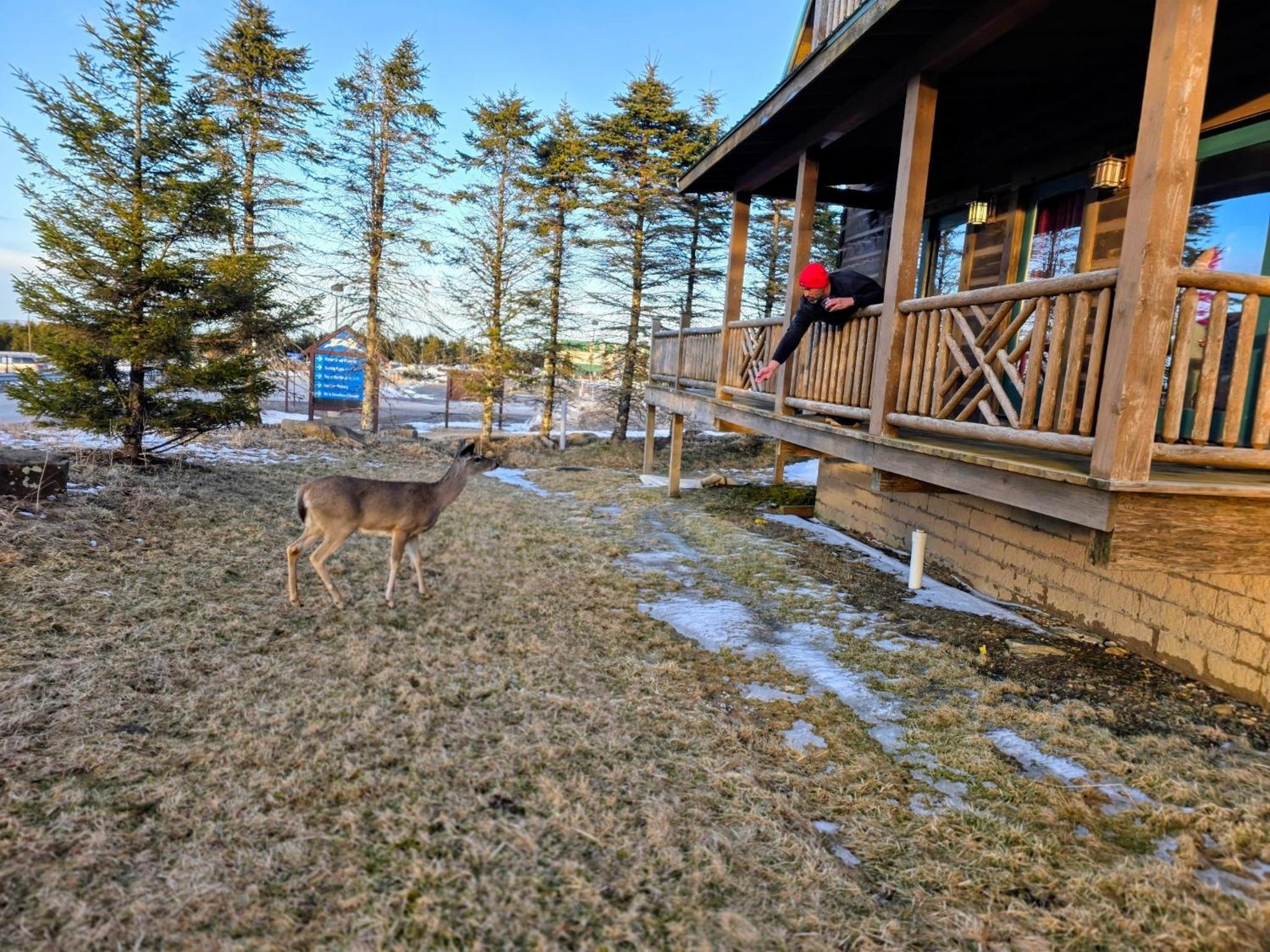 Vacation Home photo 2