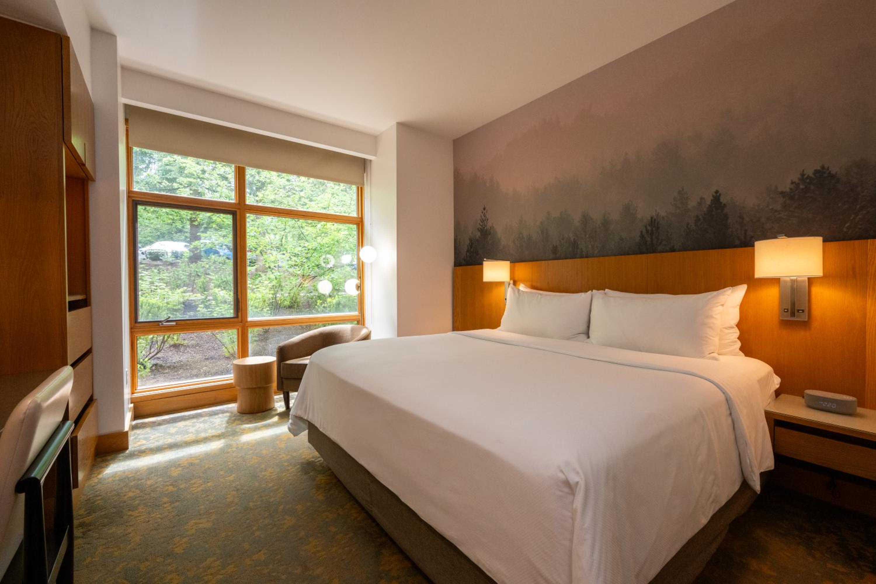 Deluxe King Room - Photo 4