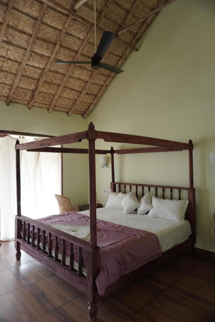 Superior King Room photo 2