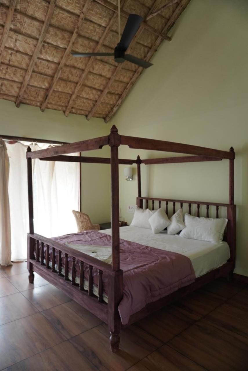 Superior King Room photo 3