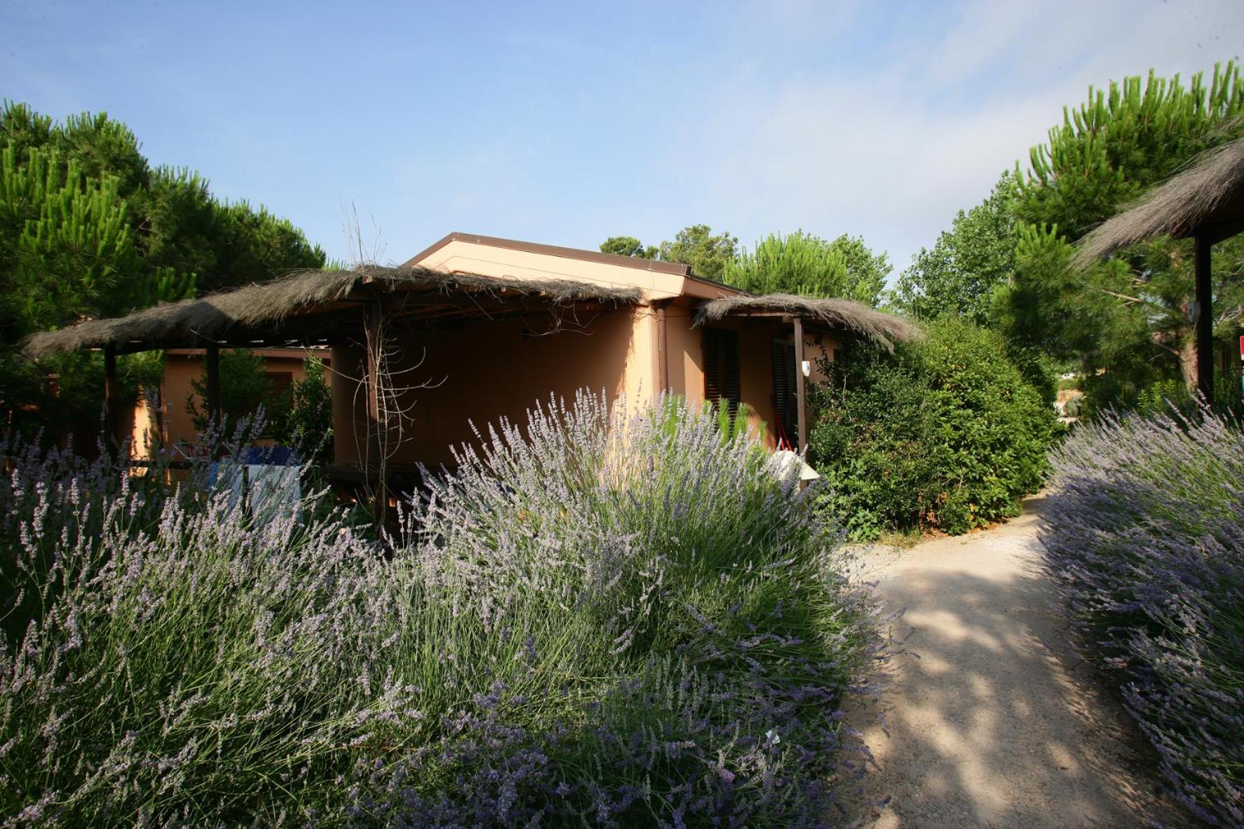 Superior Bungalow (4 Adults + 2 Children) photo 3