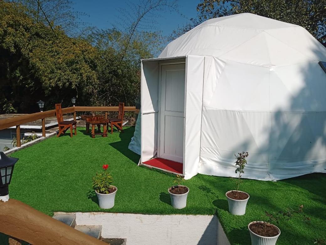 Tent