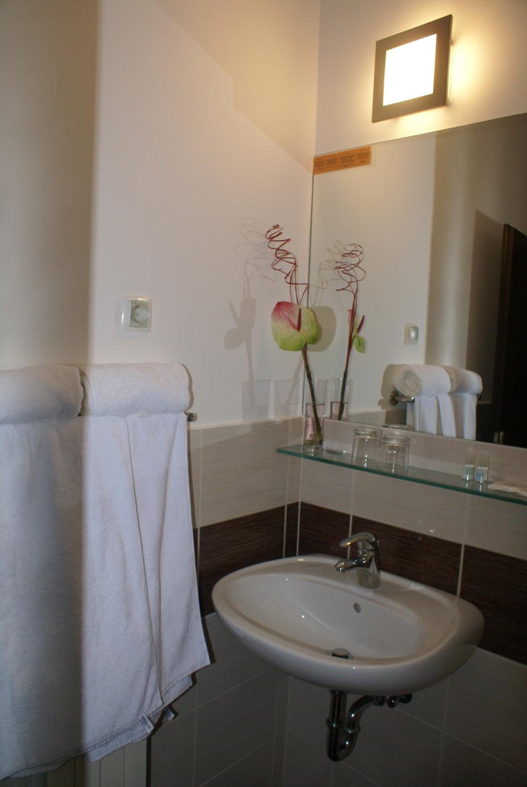 Single Room photo 2