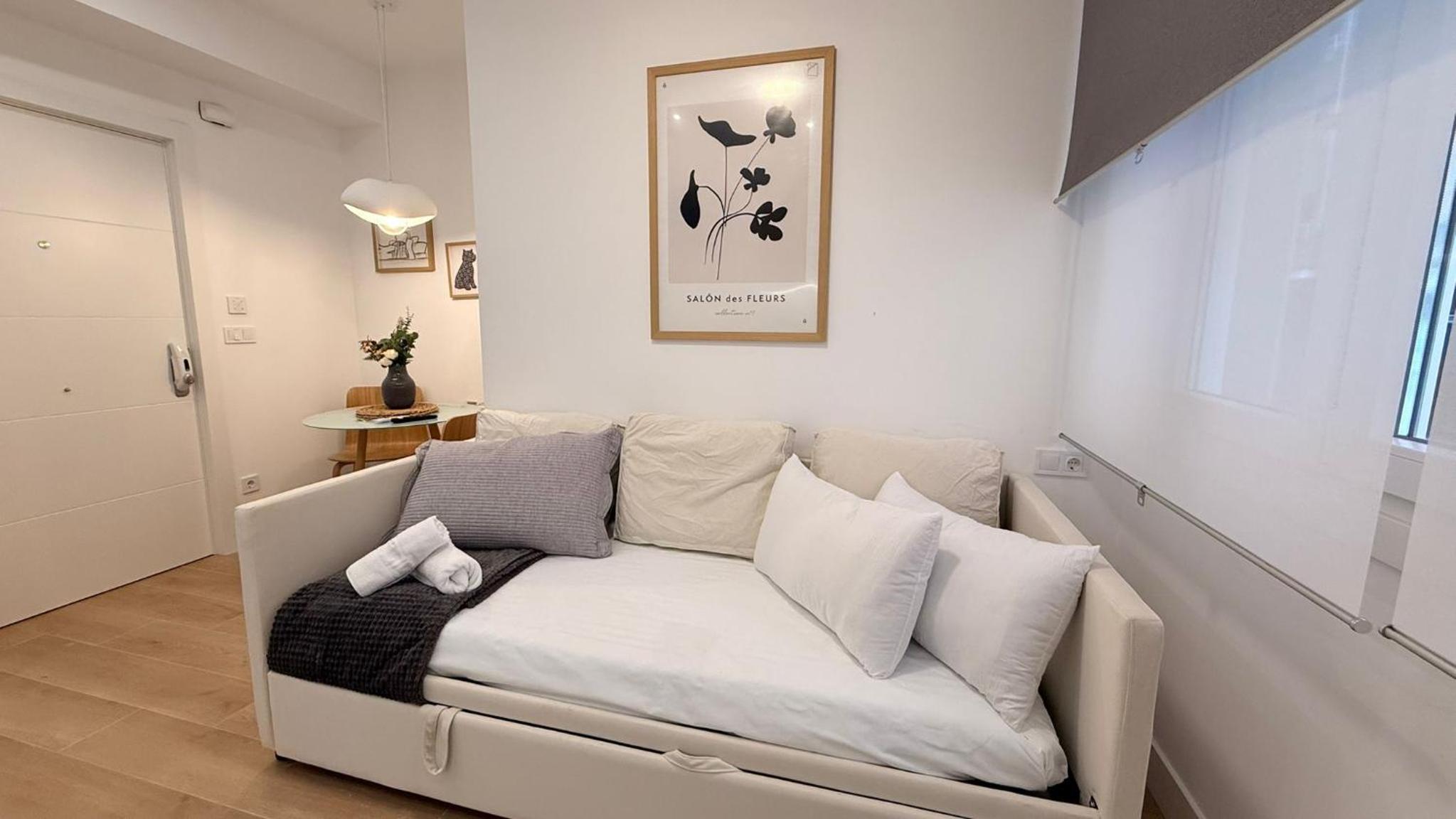 Studio with Sofa Bed