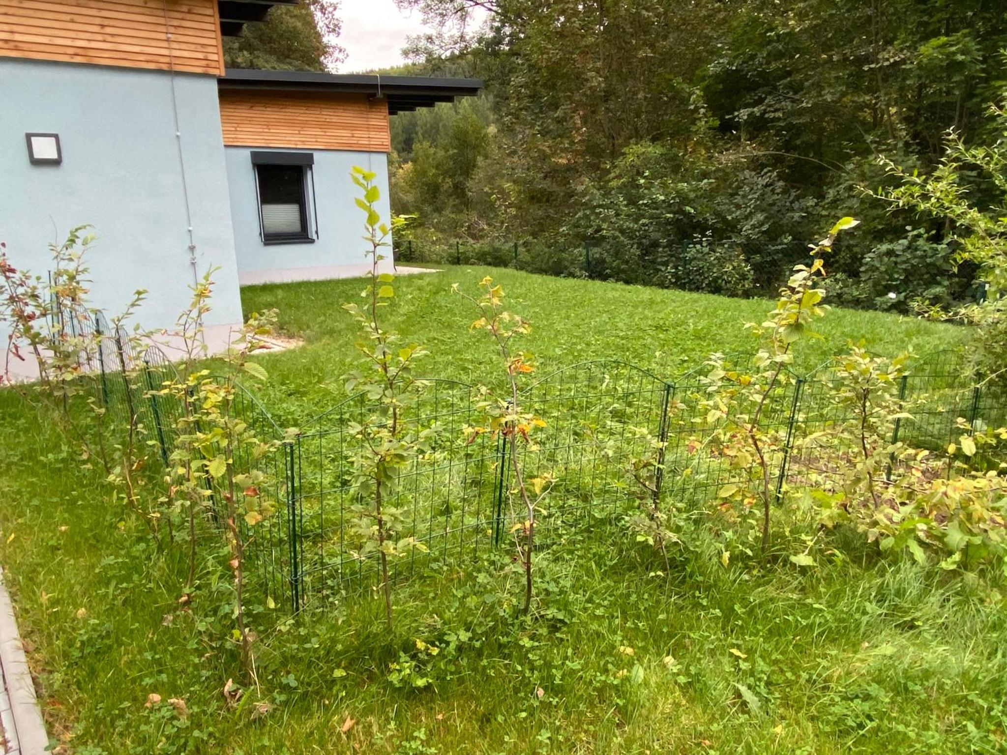 Deluxe Two-Bedroom Apartment with Garden View photo 2