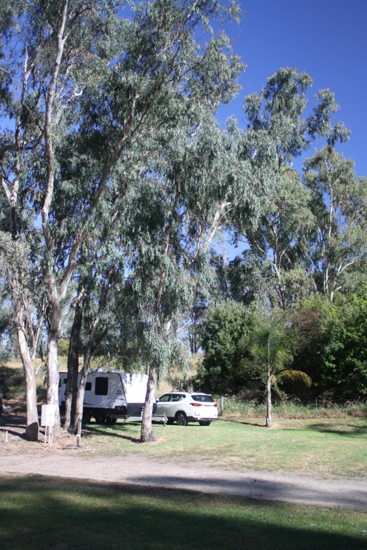 Mobile Home photo 2