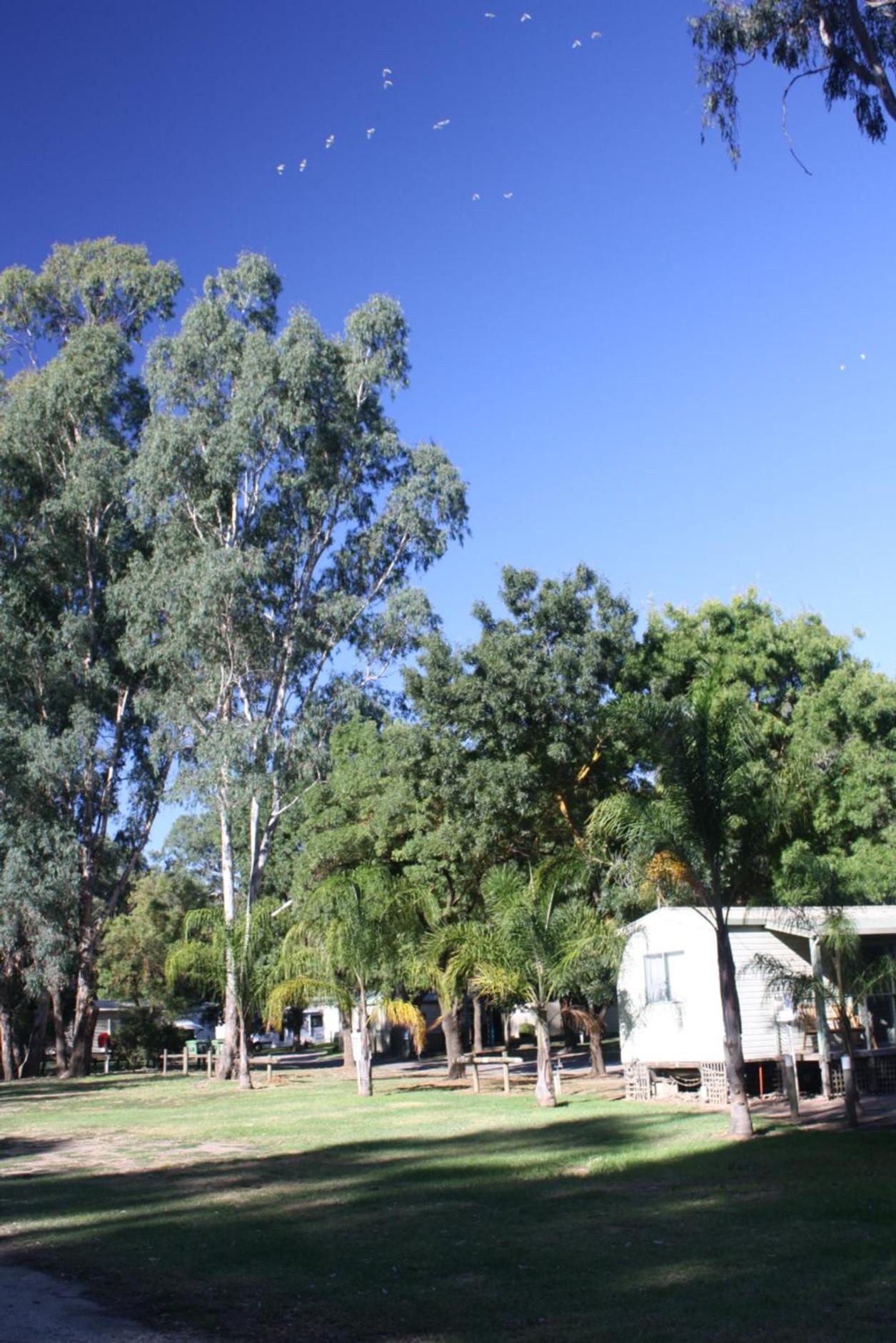 Mobile Home photo 3