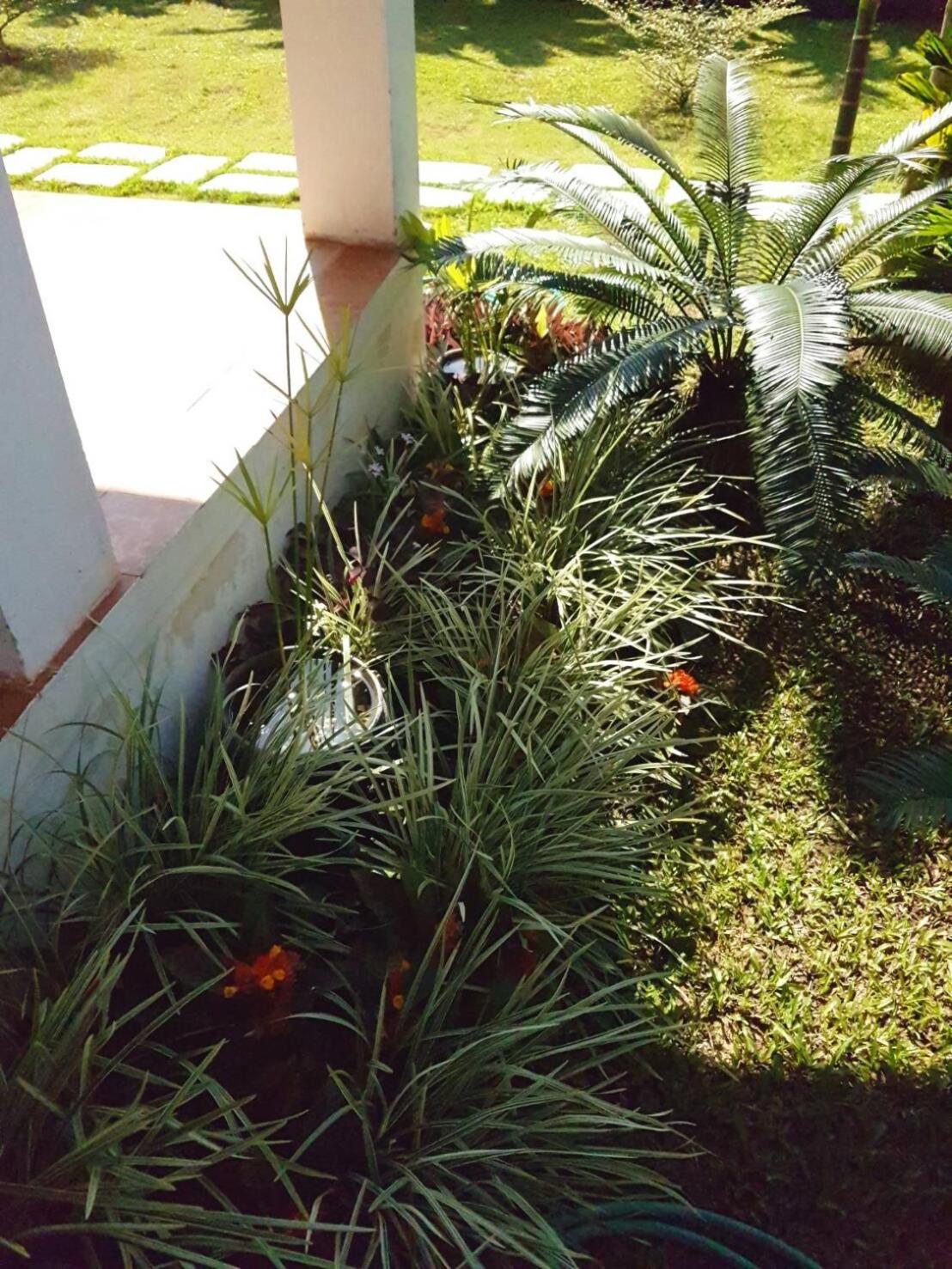 Family Bungalow photo 3