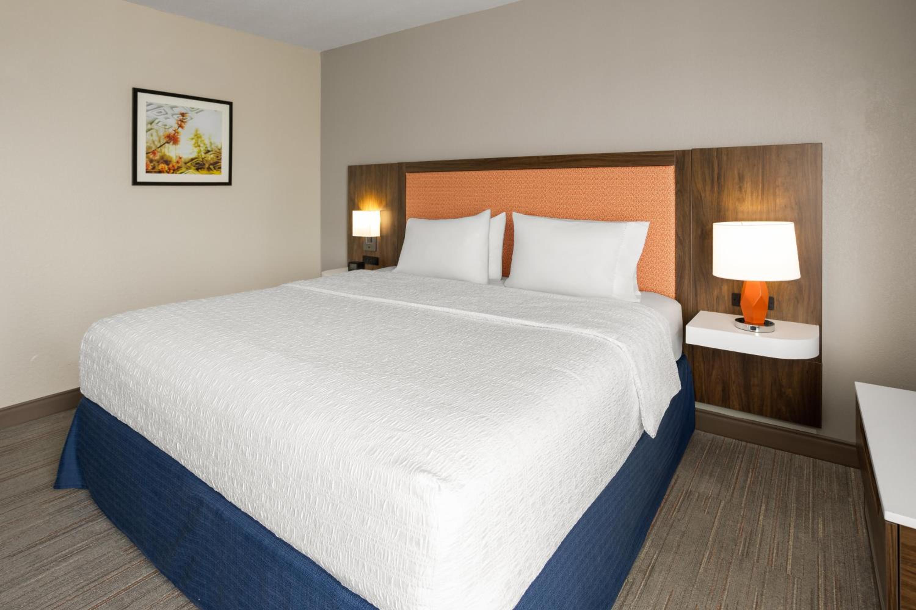 King Room with Bath Tub - Mobility and Hearing Access - Photo 1