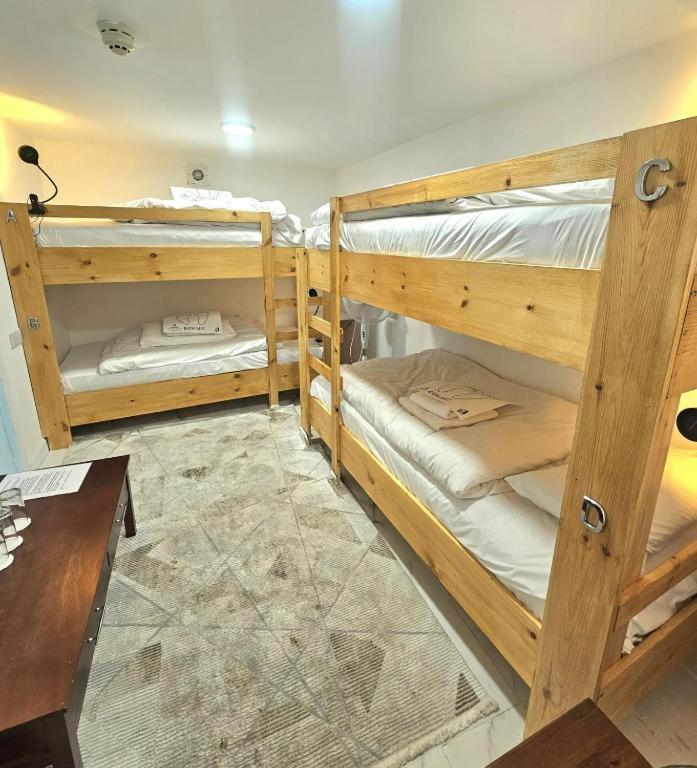 Bunk Bed in Mixed Dormitory Room photo 1